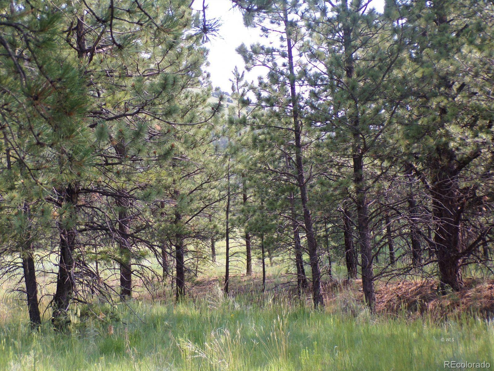 MLS Image #25 for 610  matterhorn circle,westcliffe, Colorado