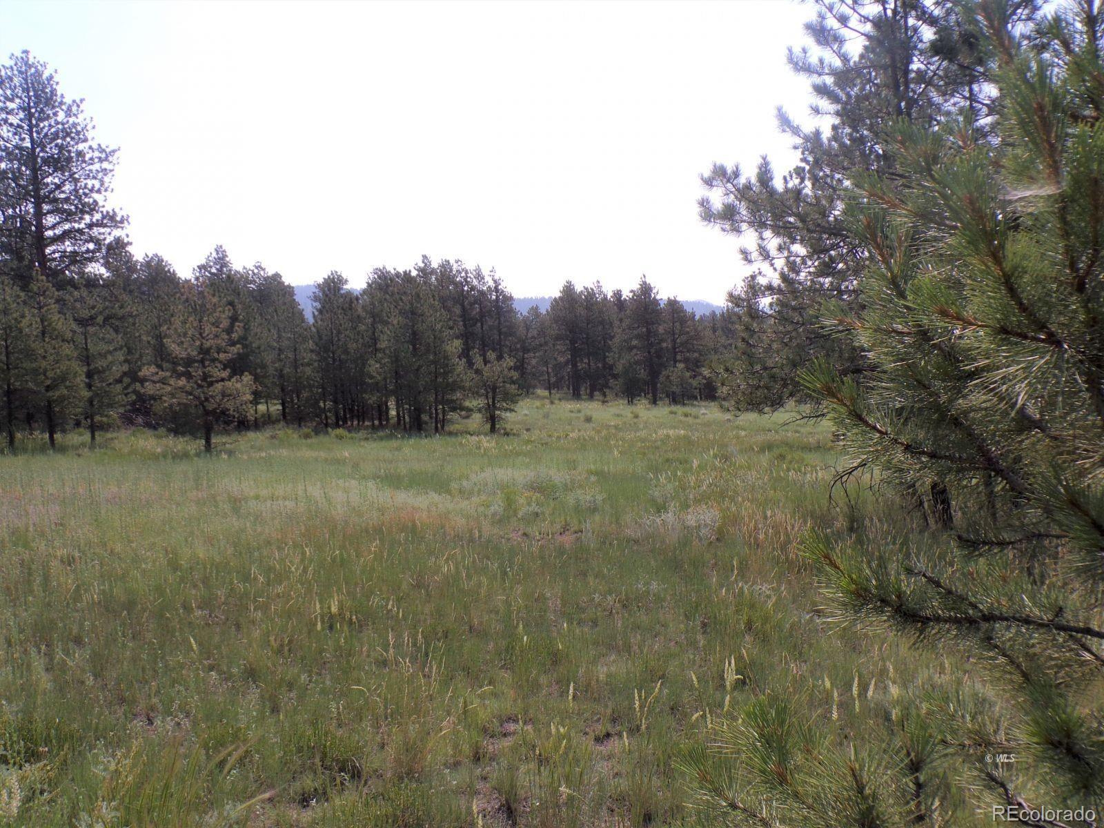 MLS Image #26 for 610  matterhorn circle,westcliffe, Colorado