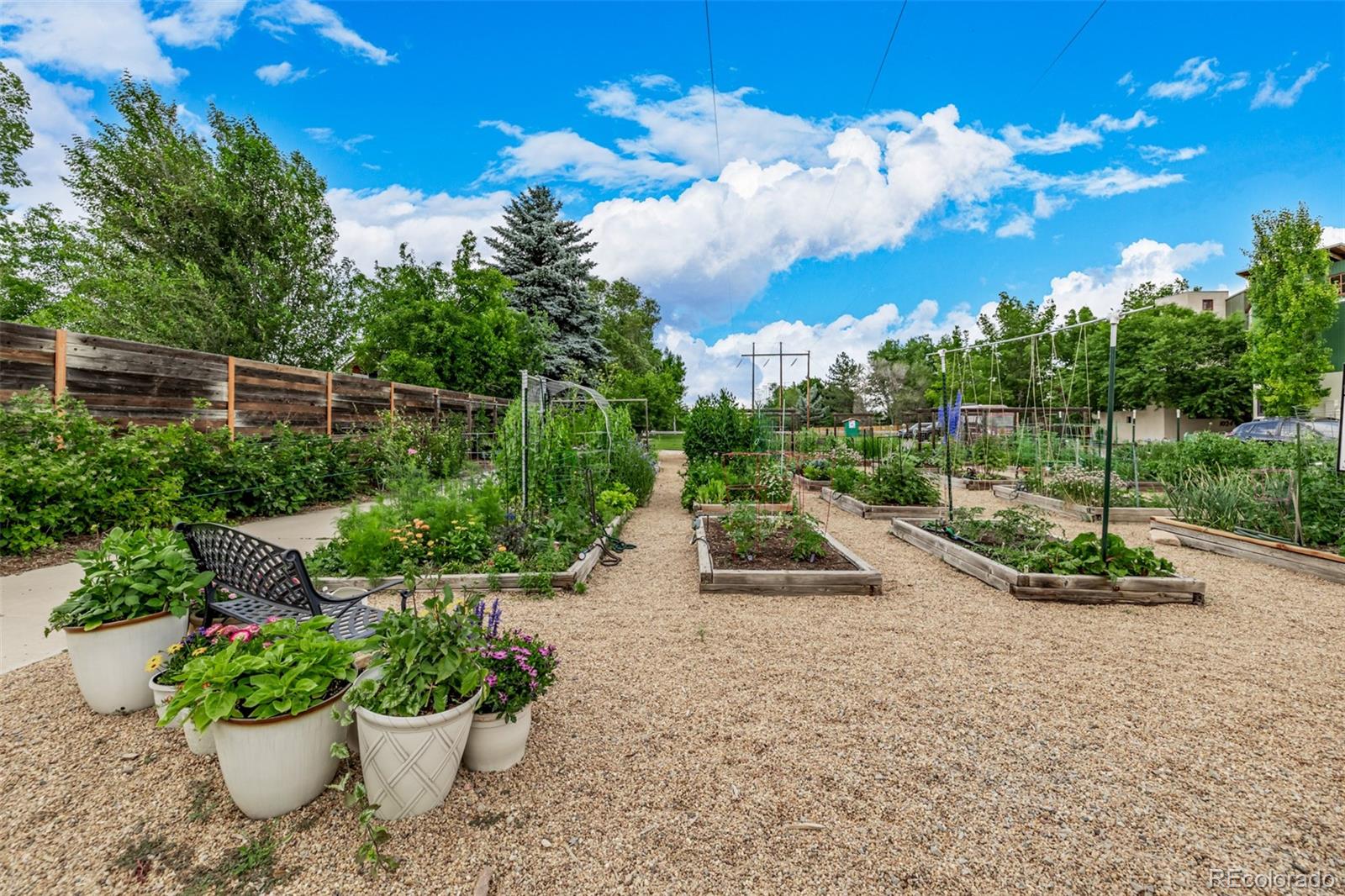 MLS Image #40 for 1029  katy lane,longmont, Colorado