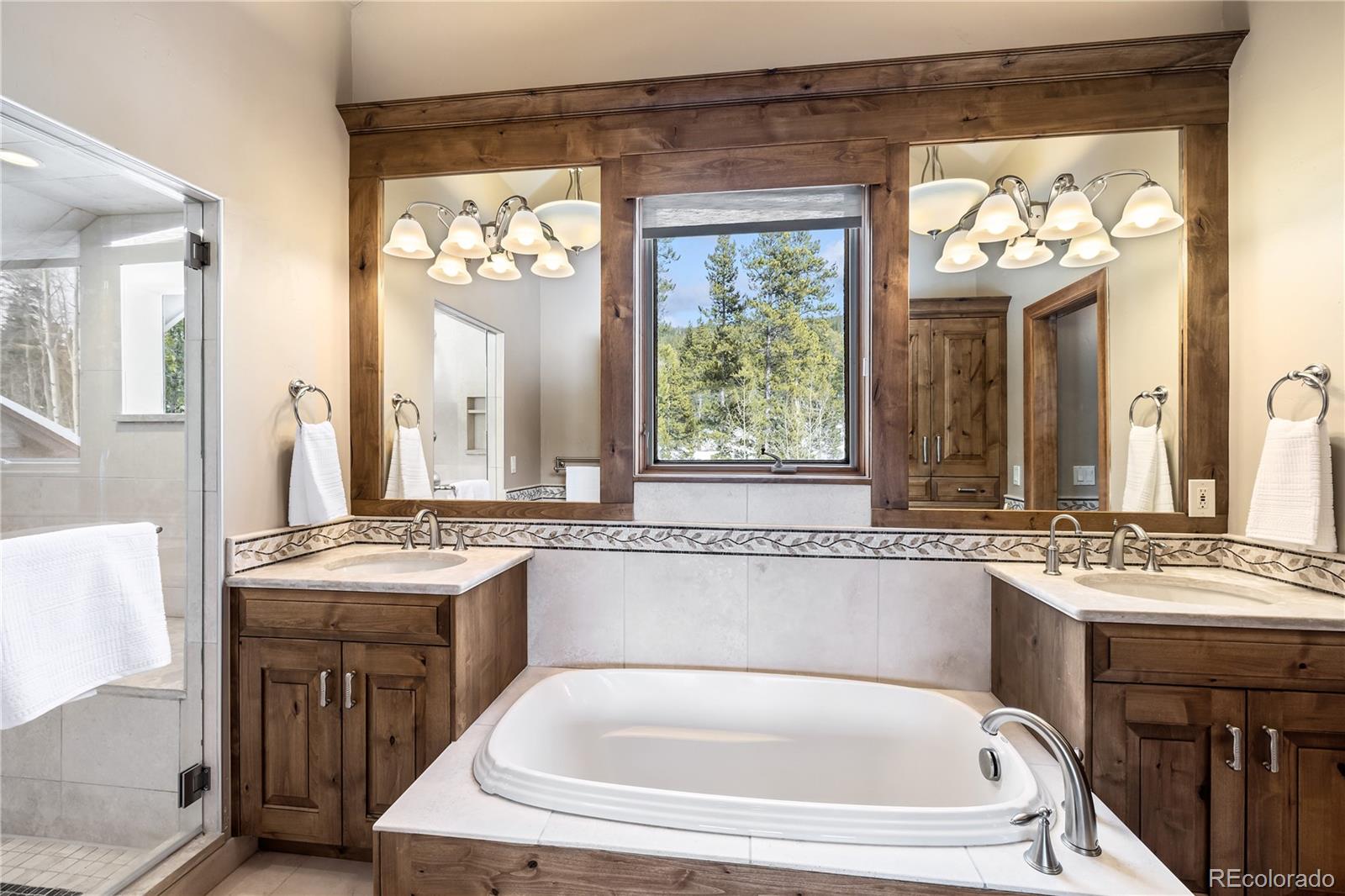 MLS Image #11 for 161  dyer trail,breckenridge, Colorado