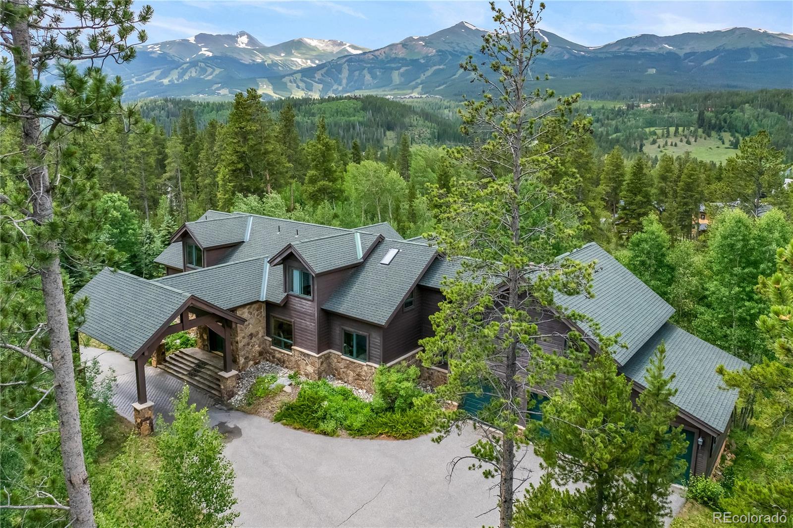 MLS Image #3 for 161  dyer trail,breckenridge, Colorado