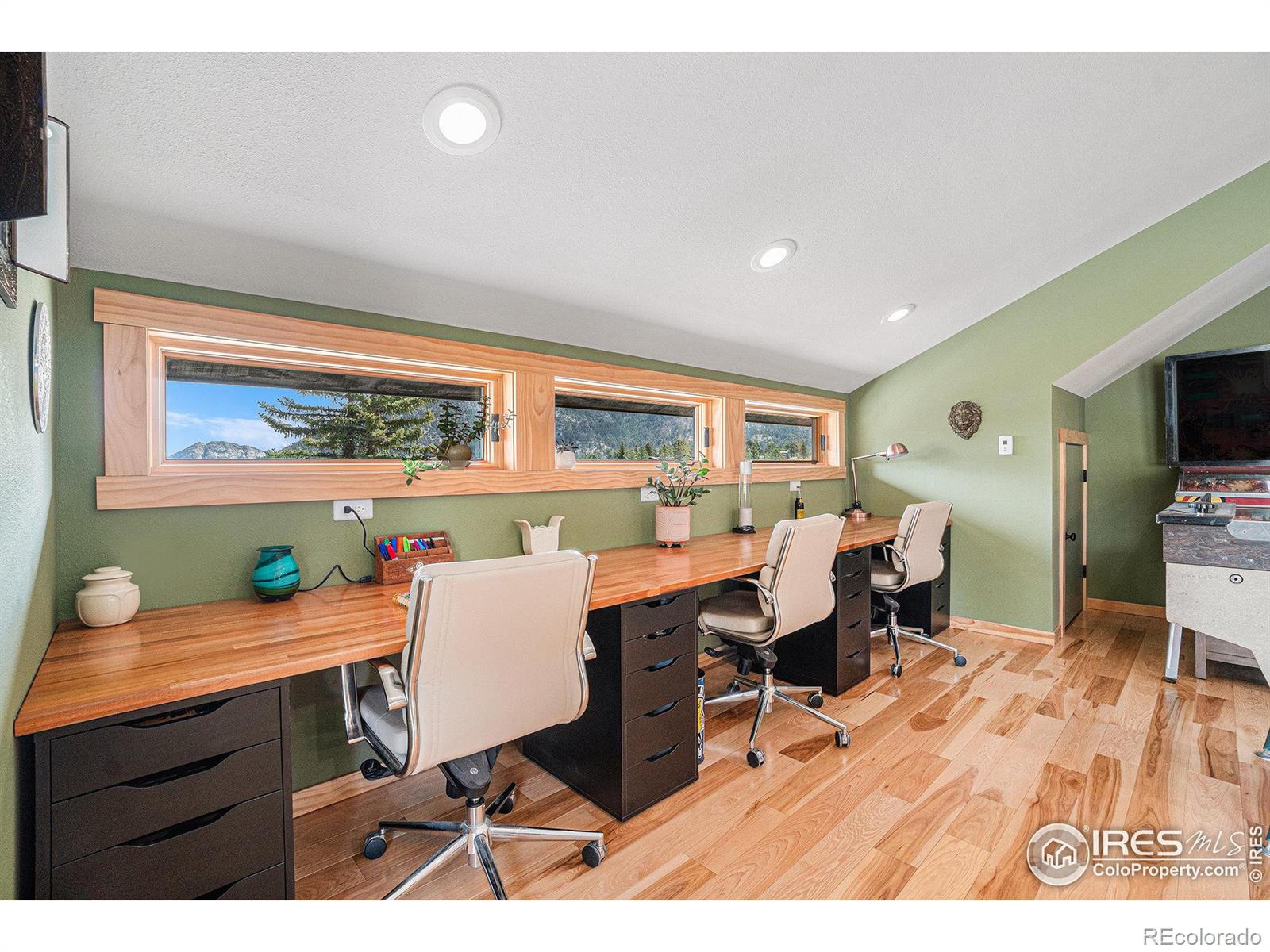 MLS Image #19 for 690  conifer lane,estes park, Colorado