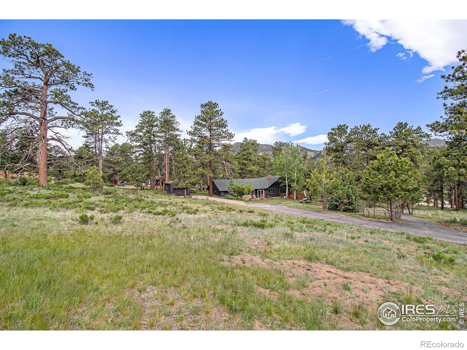 MLS Image #1 for 1141  wallace lane,estes park, Colorado