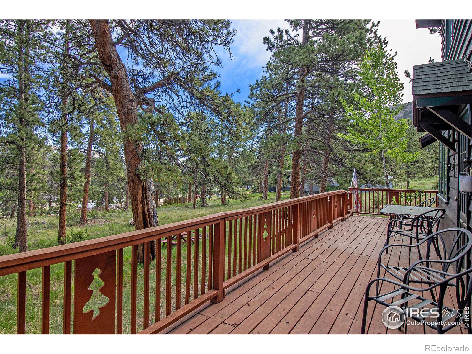 MLS Image #23 for 1141  wallace lane,estes park, Colorado