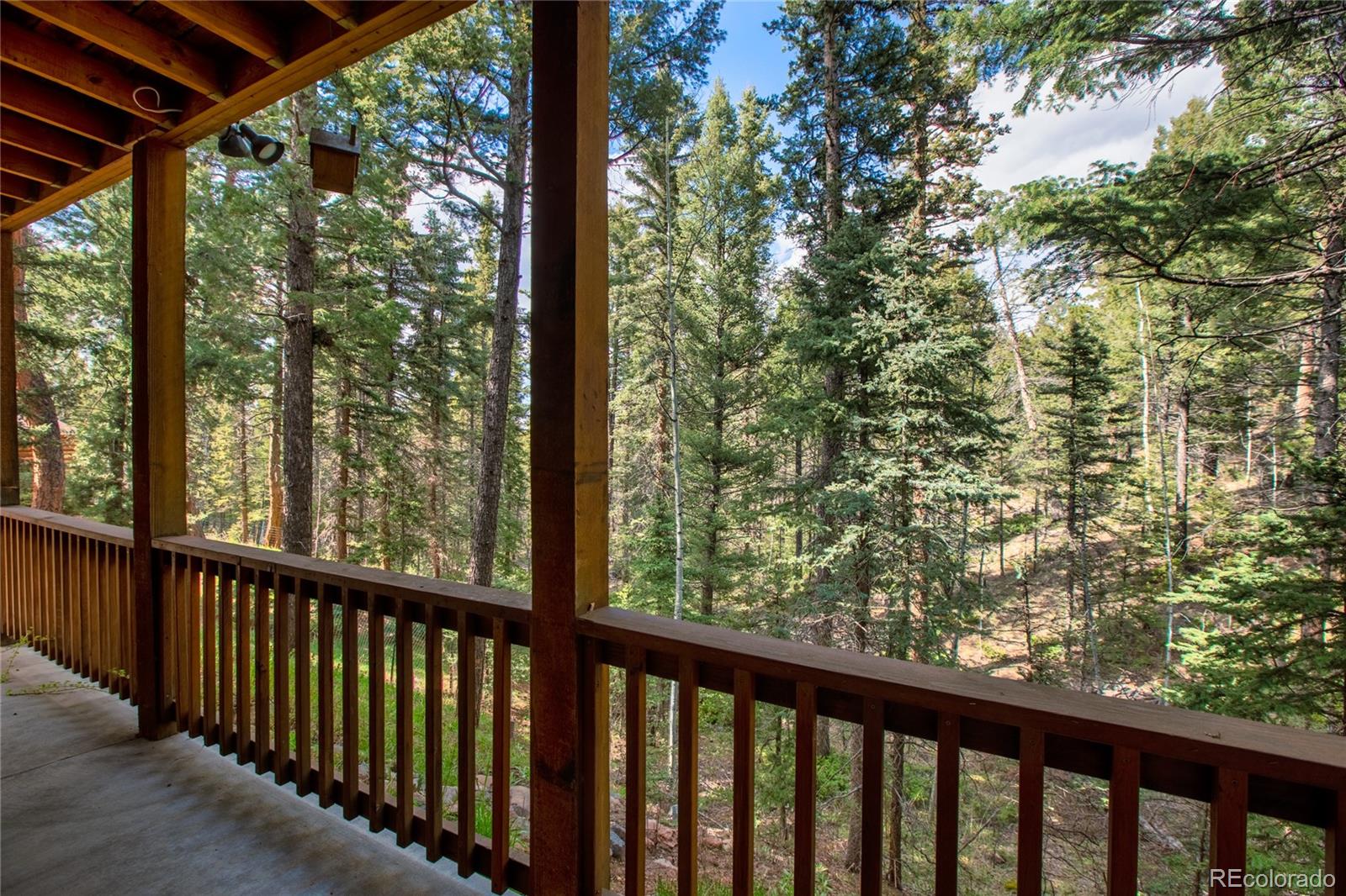 MLS Image #46 for 143  wahsatch road,florissant, Colorado