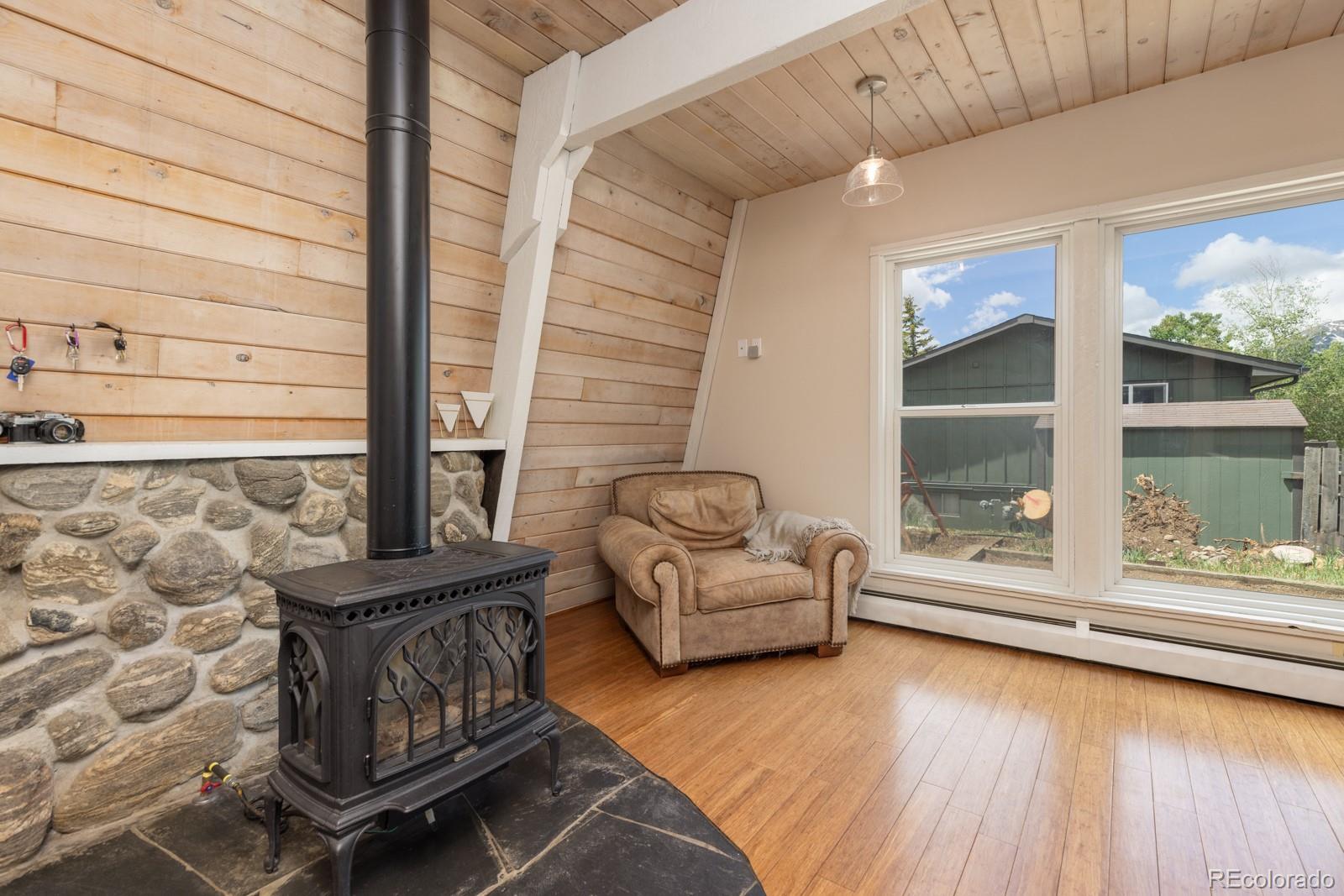 MLS Image #6 for 213  big elk road,dillon, Colorado