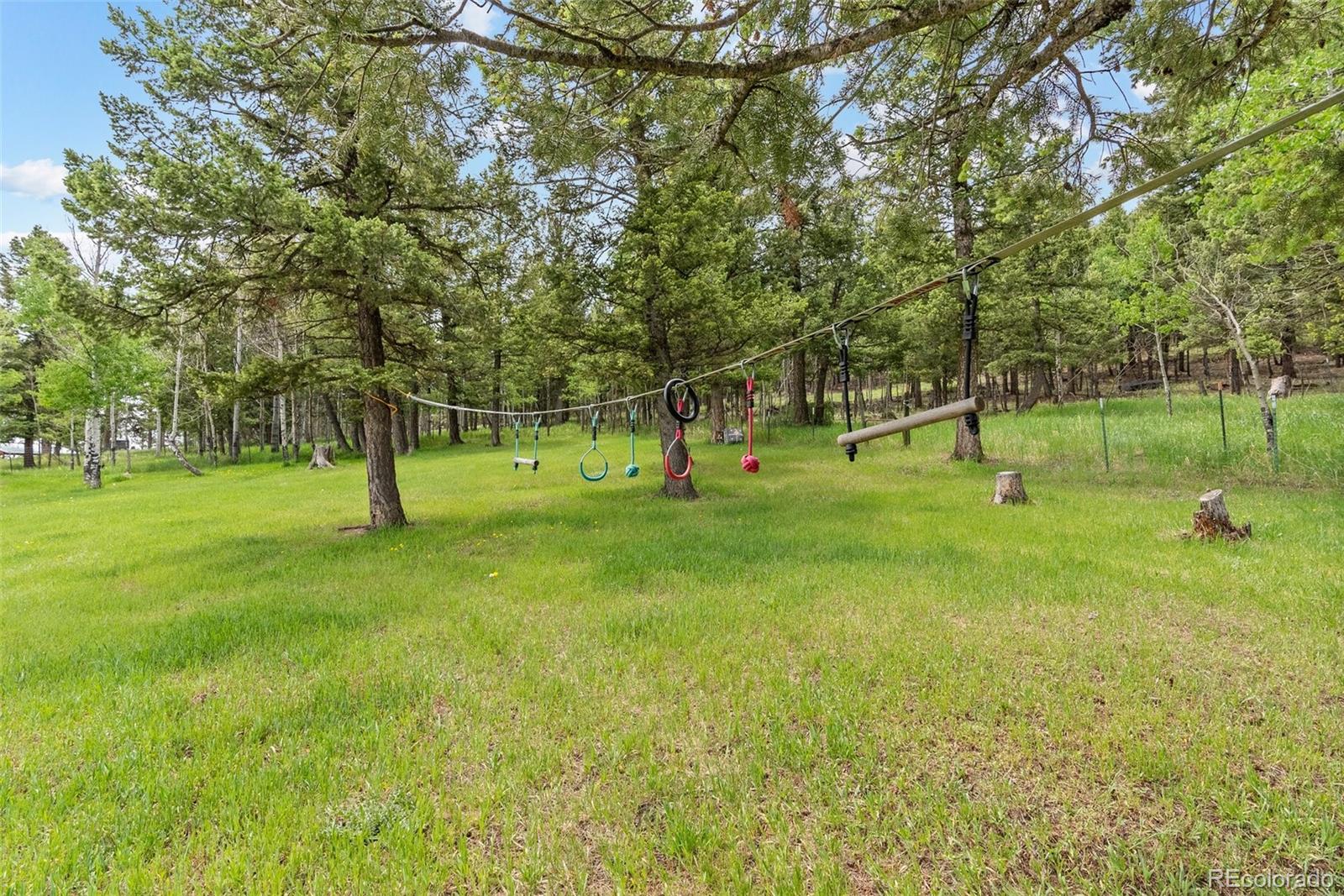 MLS Image #25 for 795  burland drive,bailey, Colorado