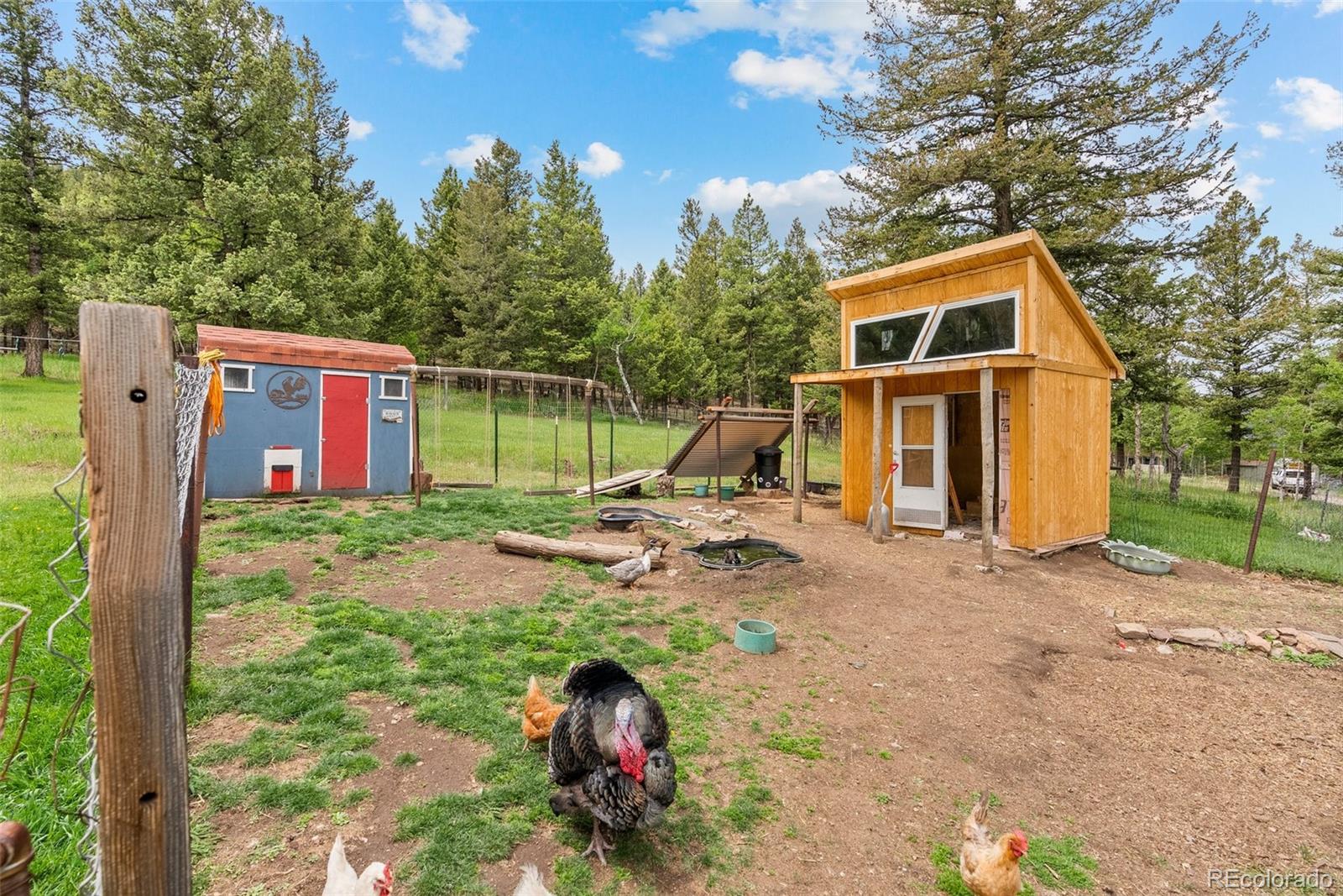 MLS Image #26 for 795  burland drive,bailey, Colorado