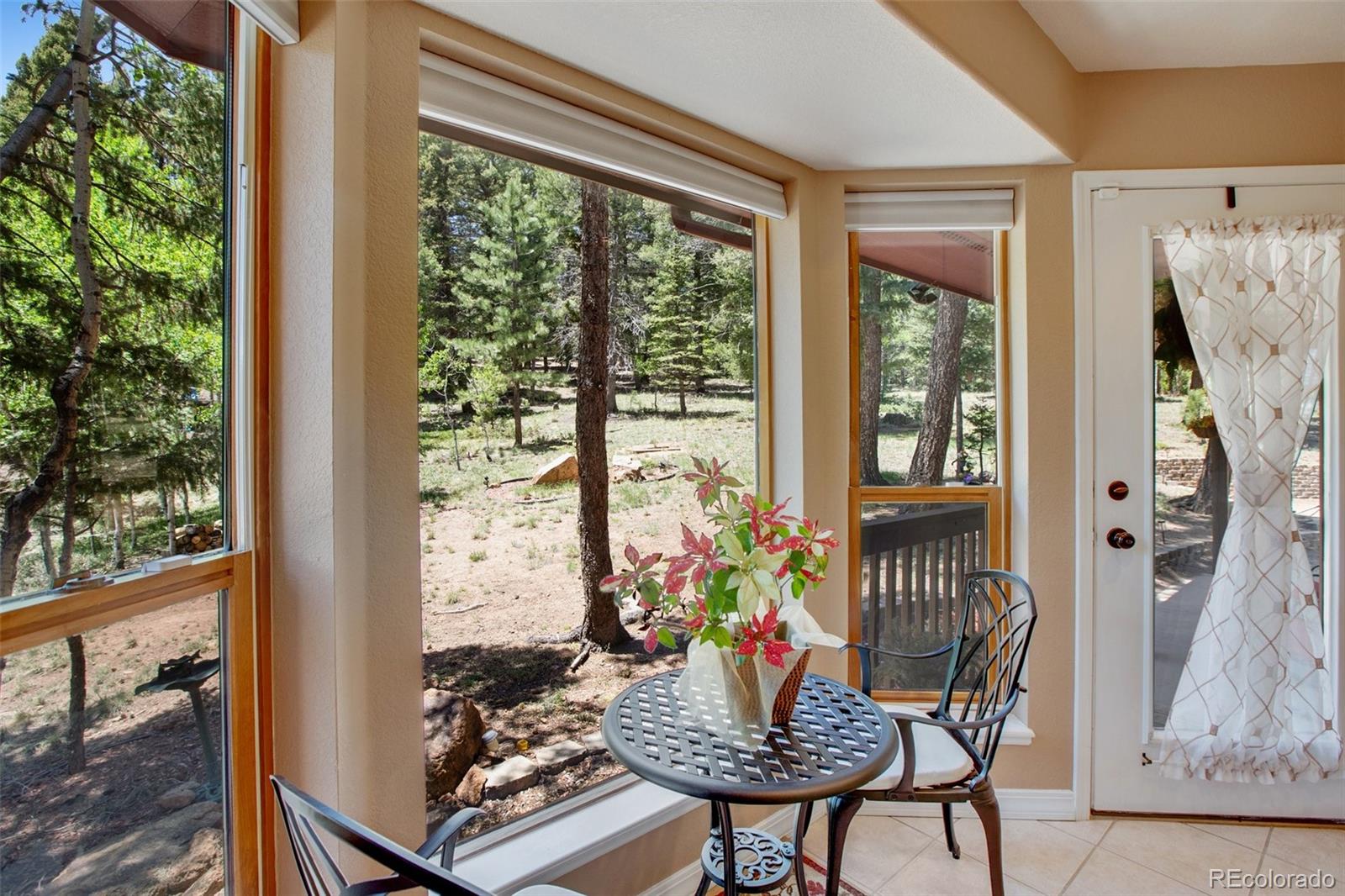 MLS Image #11 for 847  ridge road,divide, Colorado