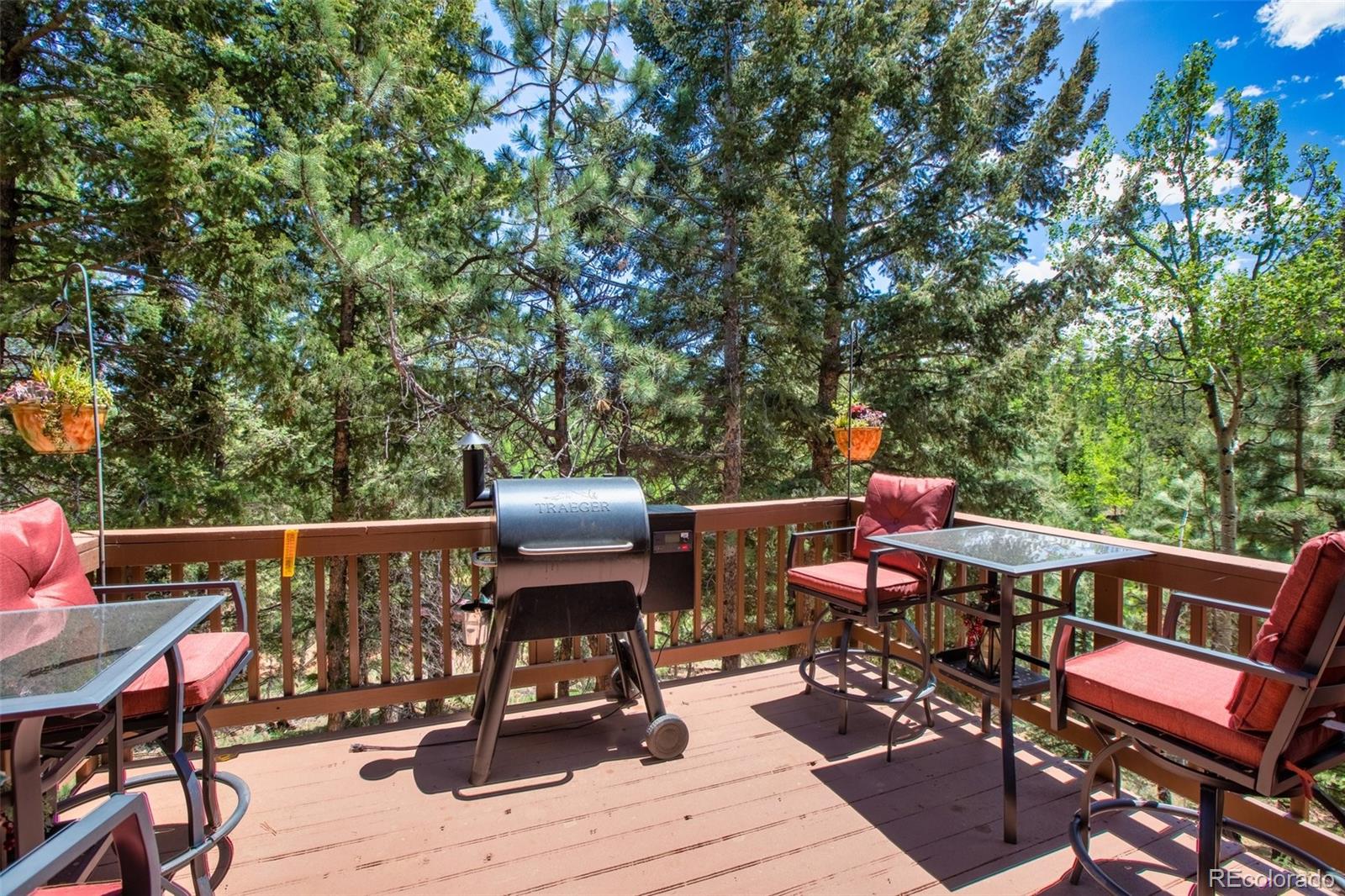 MLS Image #22 for 847  ridge road,divide, Colorado