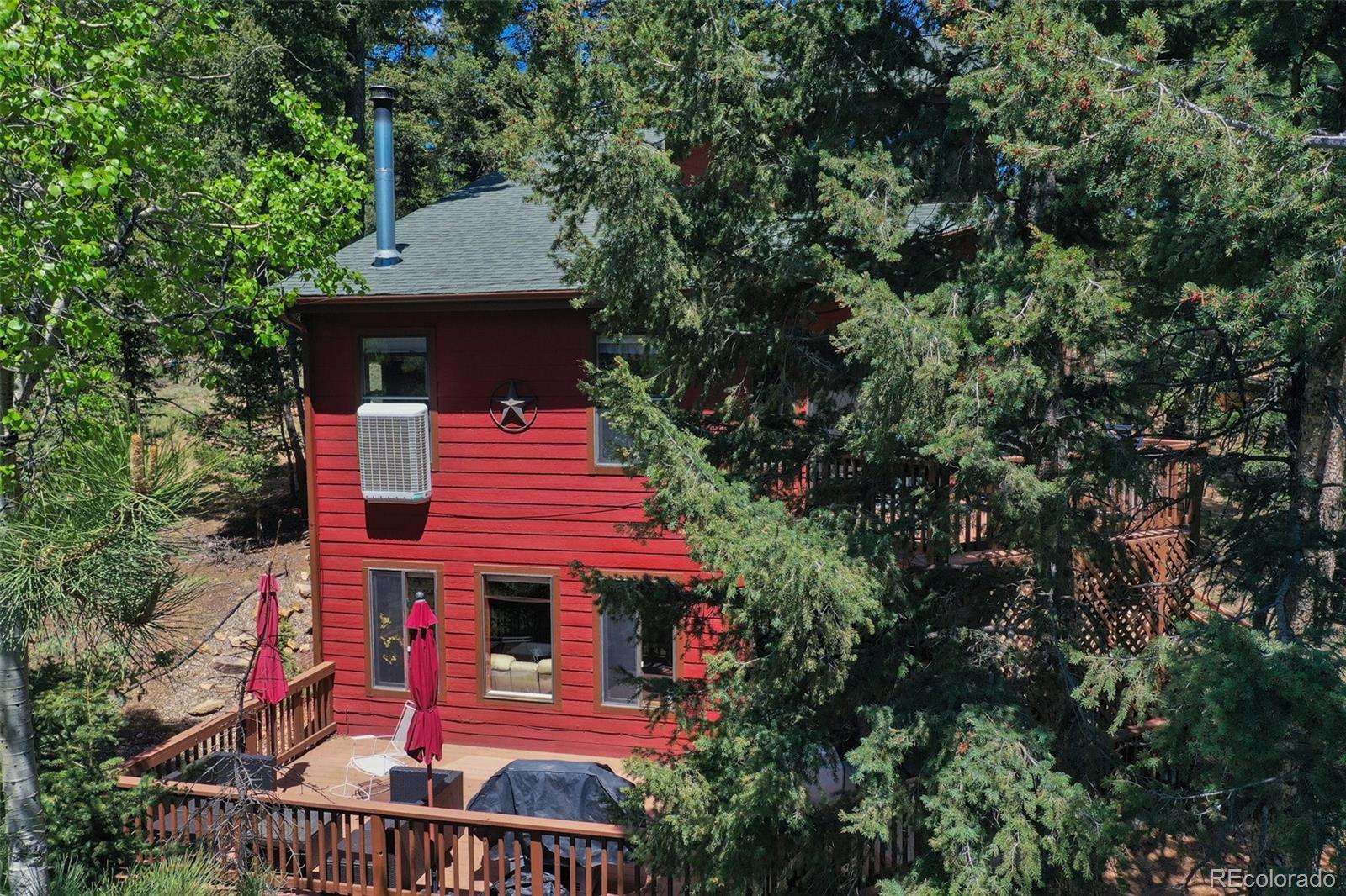 MLS Image #4 for 847  ridge road,divide, Colorado