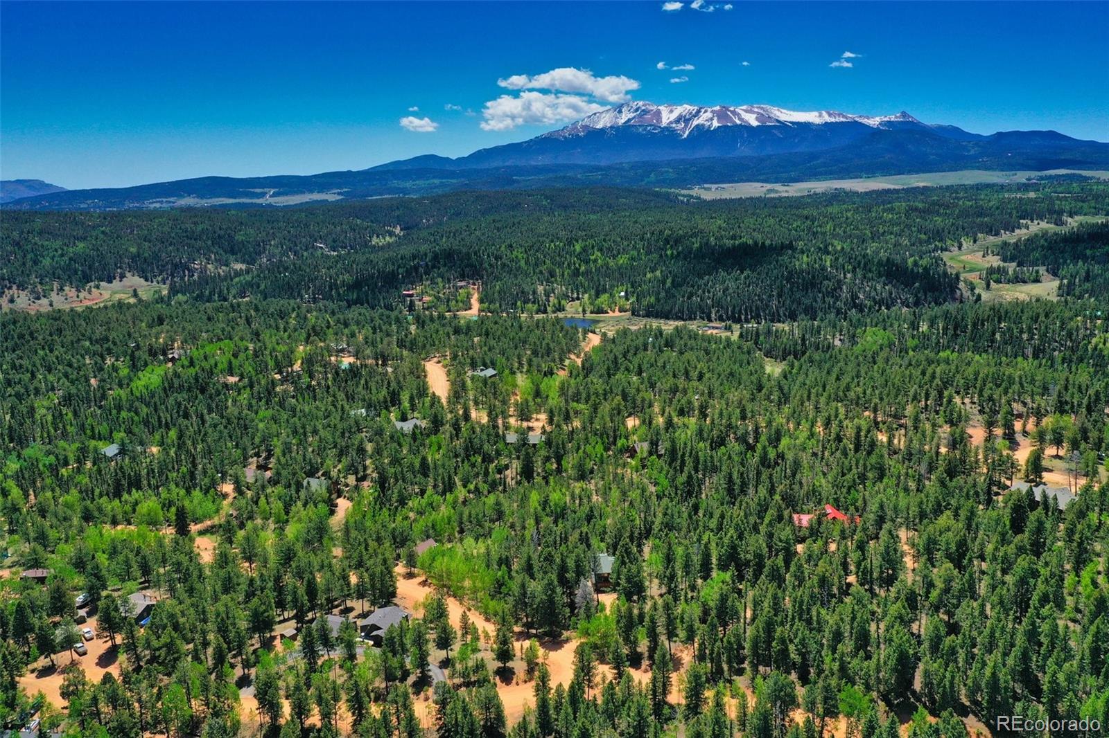 MLS Image #5 for 847  ridge road,divide, Colorado