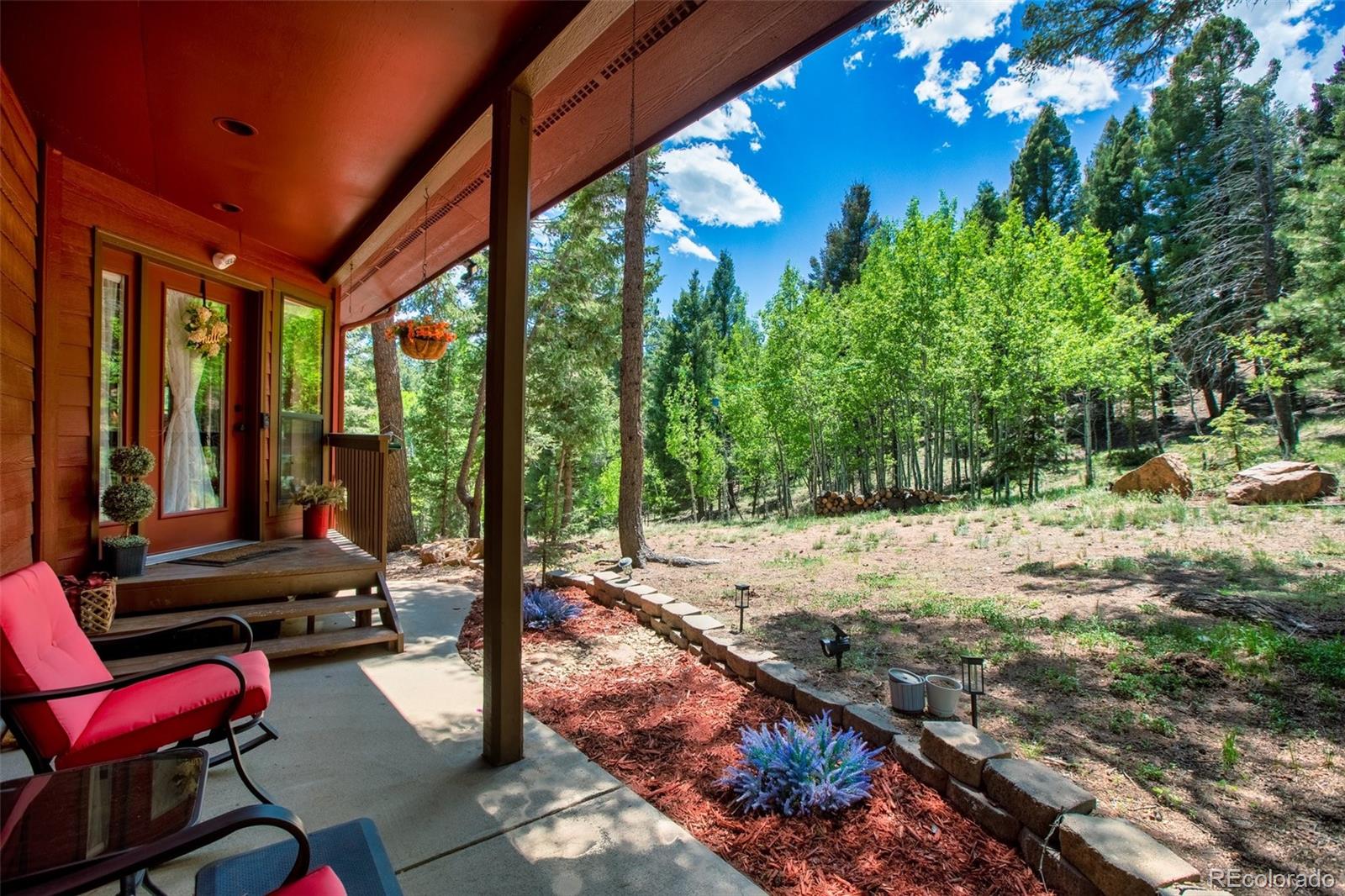 MLS Image #8 for 847  ridge road,divide, Colorado