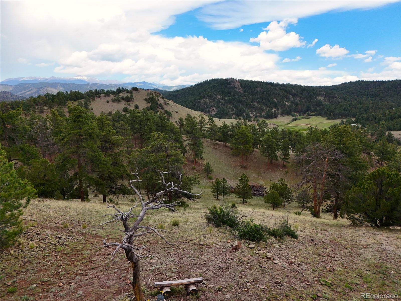 MLS Image #46 for 147  chinook lane,florissant, Colorado