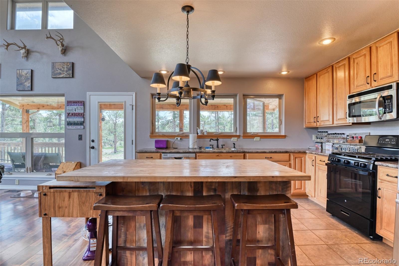 MLS Image #8 for 147  chinook lane,florissant, Colorado