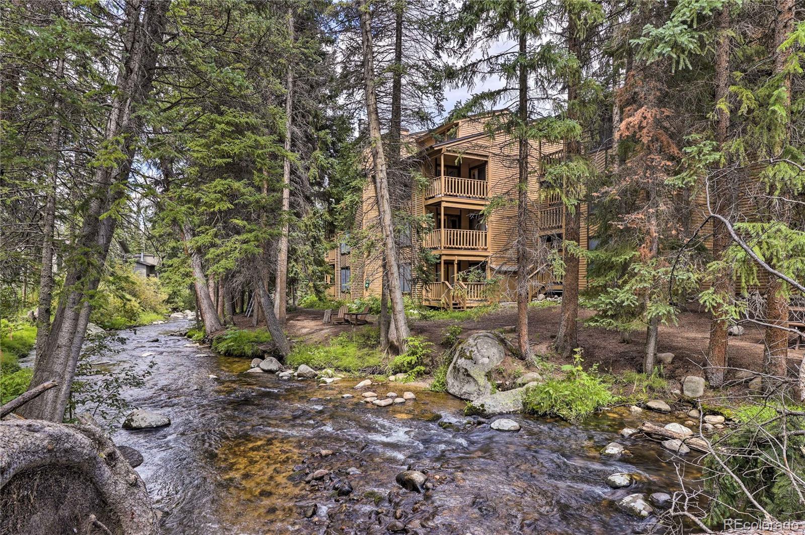 MLS Image #23 for 145  arapahoe road,winter park, Colorado