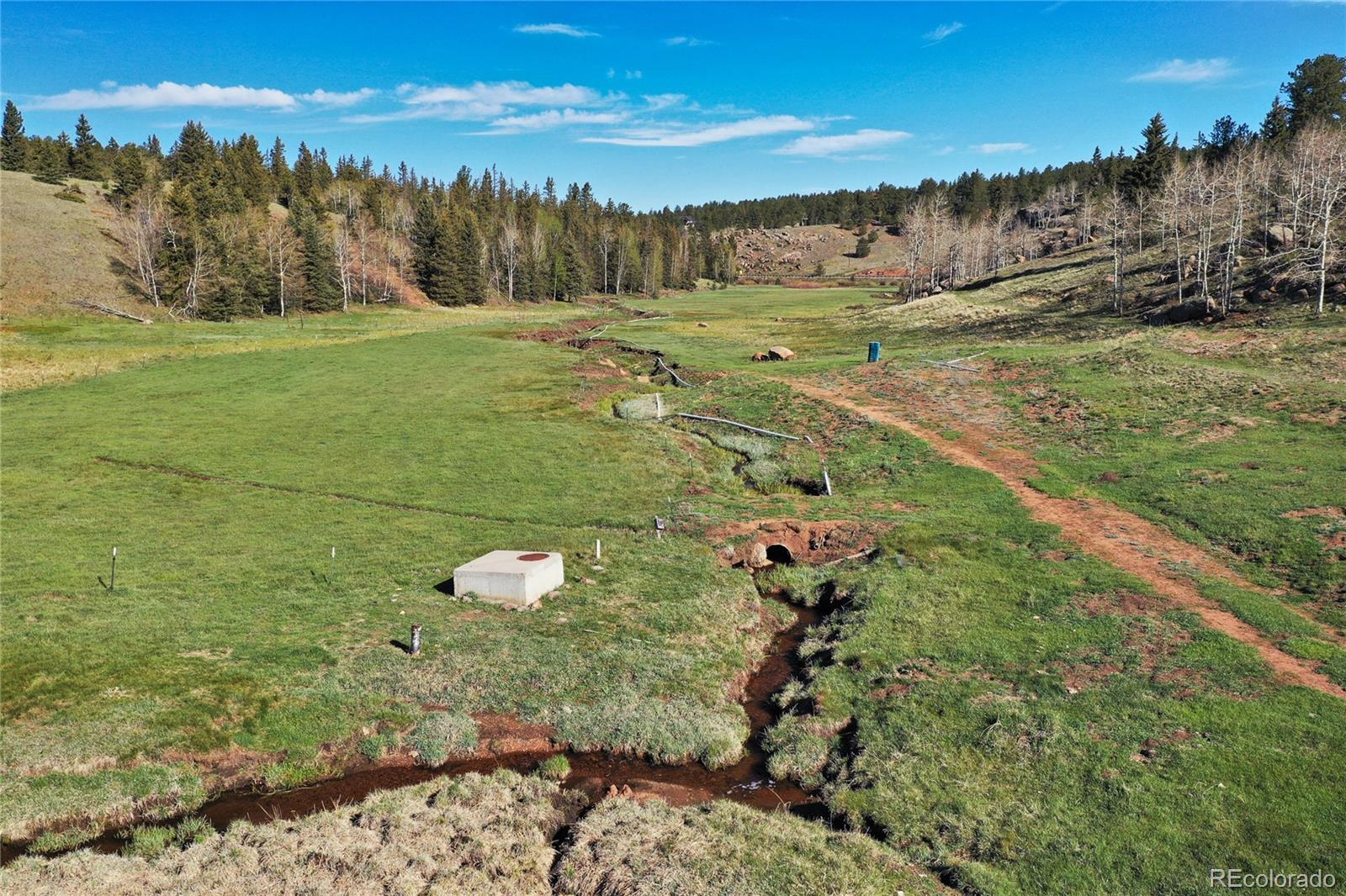 MLS Image #12 for 3579  county rd 42 ,florissant, Colorado