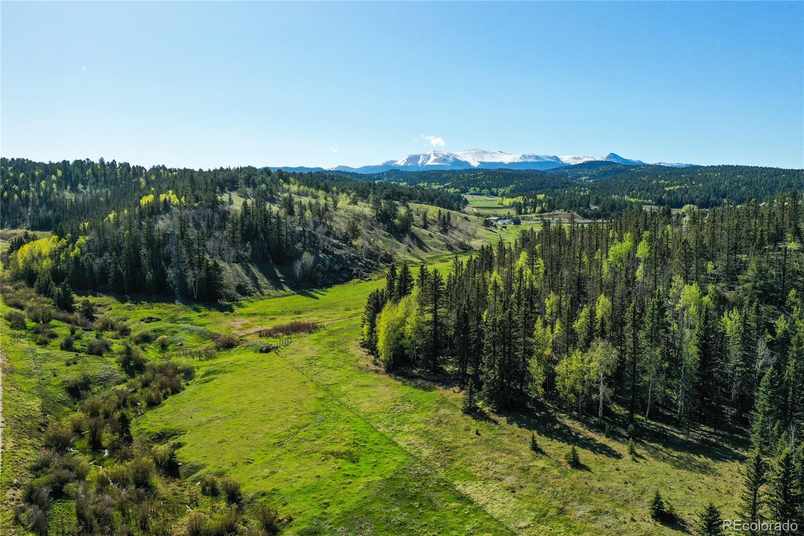 MLS Image #15 for 3579  county rd 42 ,florissant, Colorado