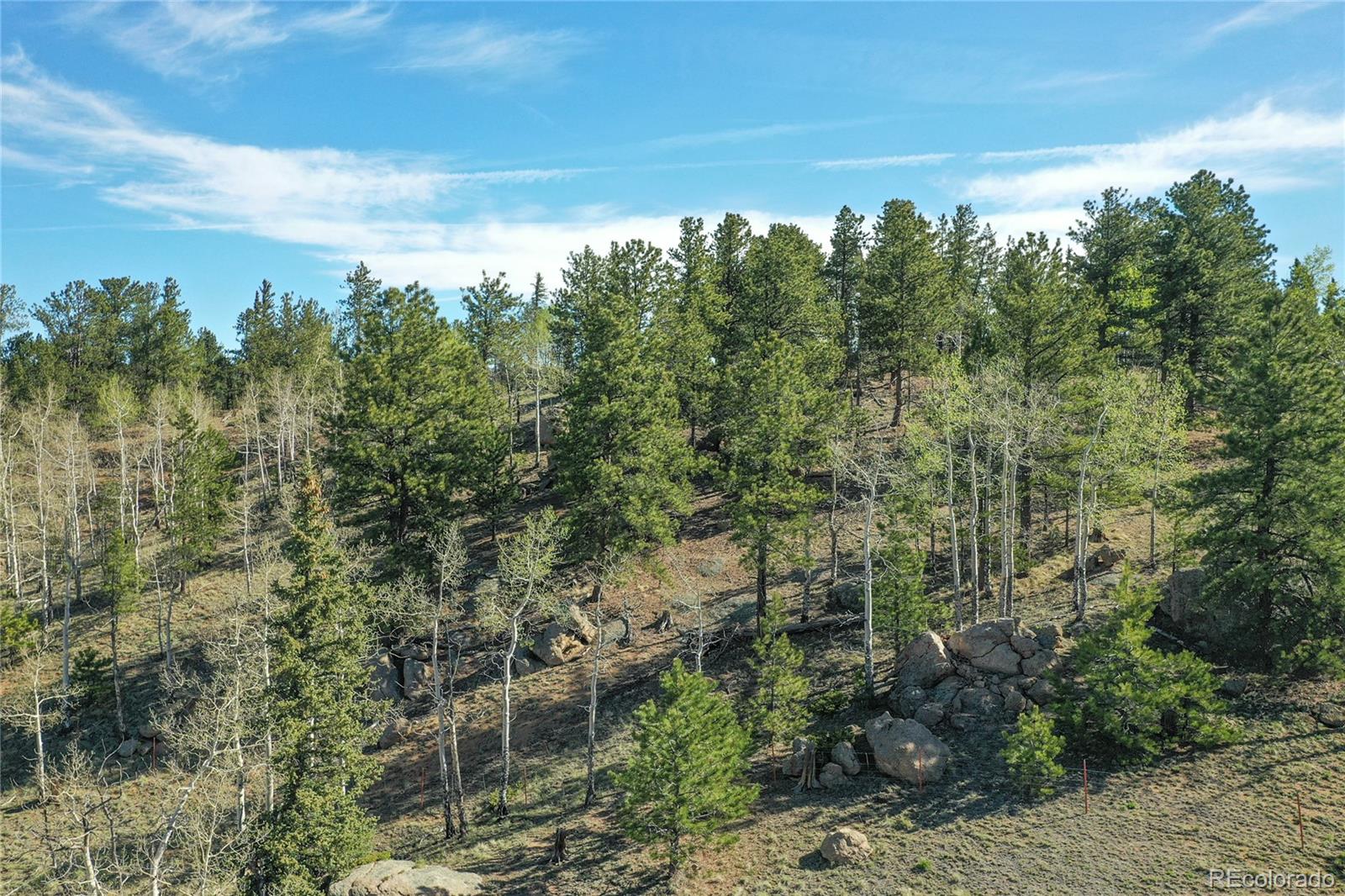 MLS Image #17 for 3579  county rd 42 ,florissant, Colorado