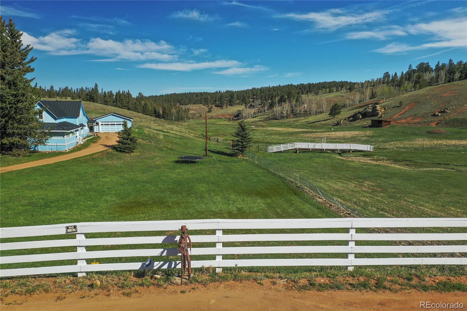 MLS Image #4 for 3579  county rd 42 ,florissant, Colorado