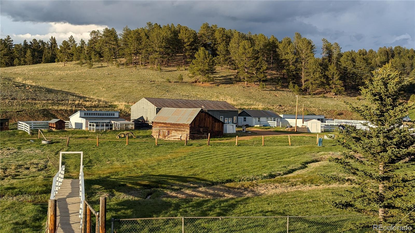 MLS Image #49 for 3579  county rd 42 ,florissant, Colorado