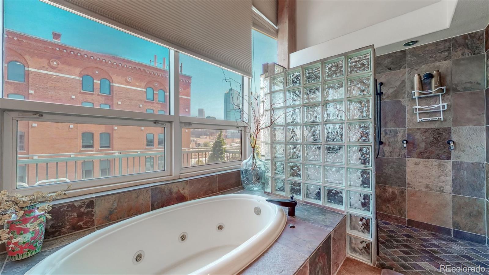 MLS Image #19 for 1143  auraria parkway,denver, Colorado