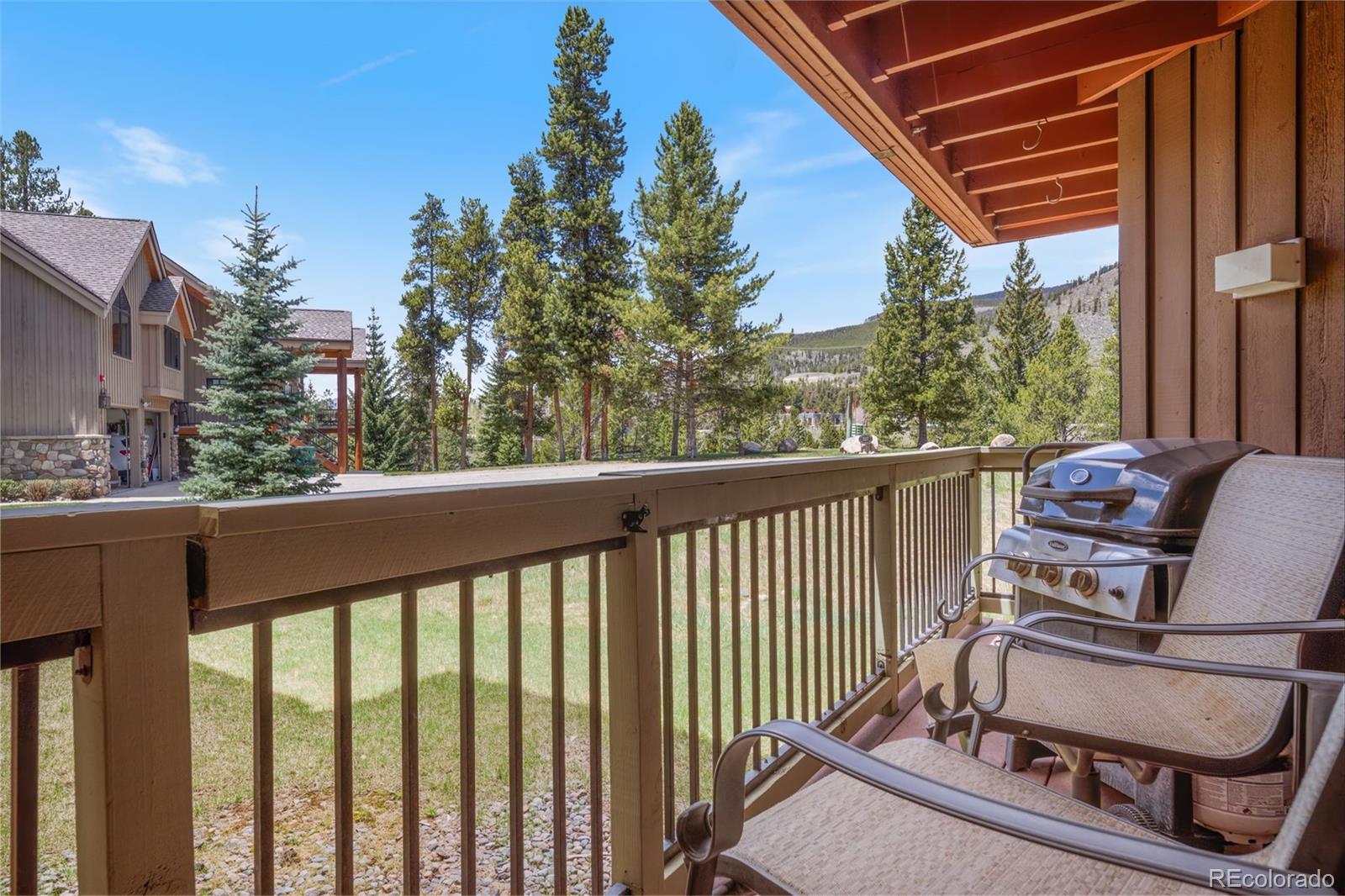 MLS Image #17 for 373  wild irishman road,dillon, Colorado