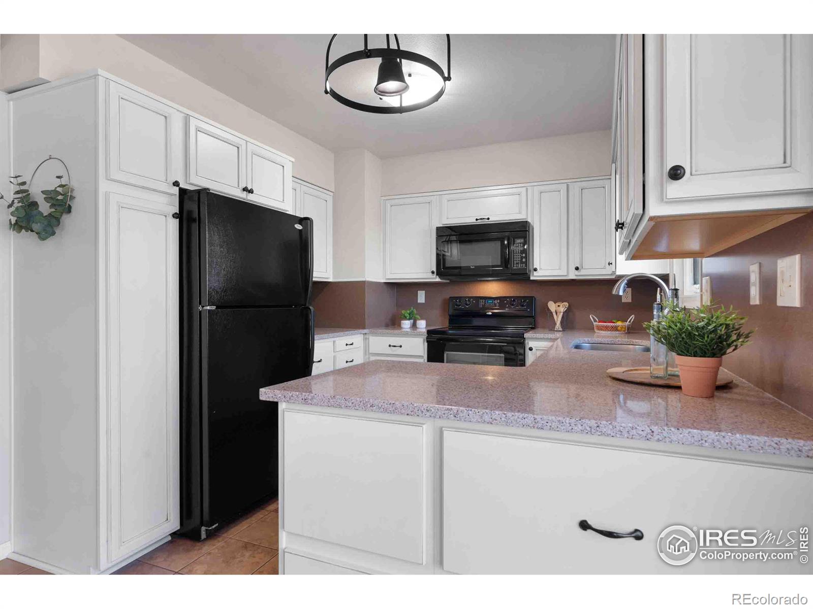 MLS Image #6 for 125  colt drive,loveland, Colorado