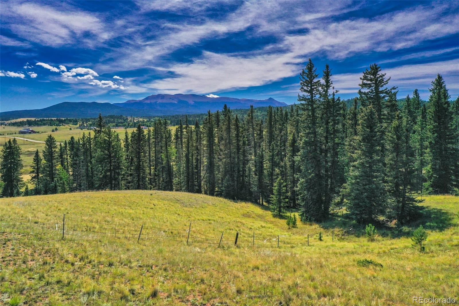 MLS Image #49 for 4815  county road 42 ,divide, Colorado