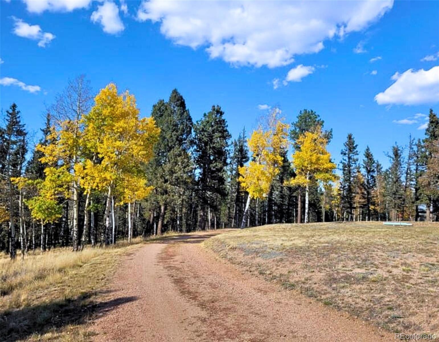 MLS Image #5 for 4815  county road 42 ,divide, Colorado