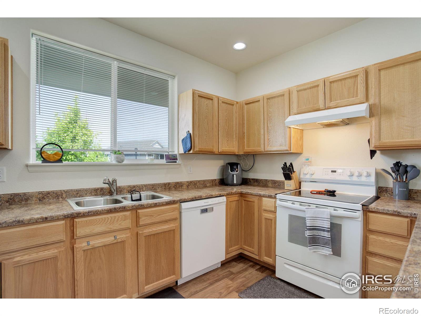 MLS Image #5 for 920  barasingha street,severance, Colorado