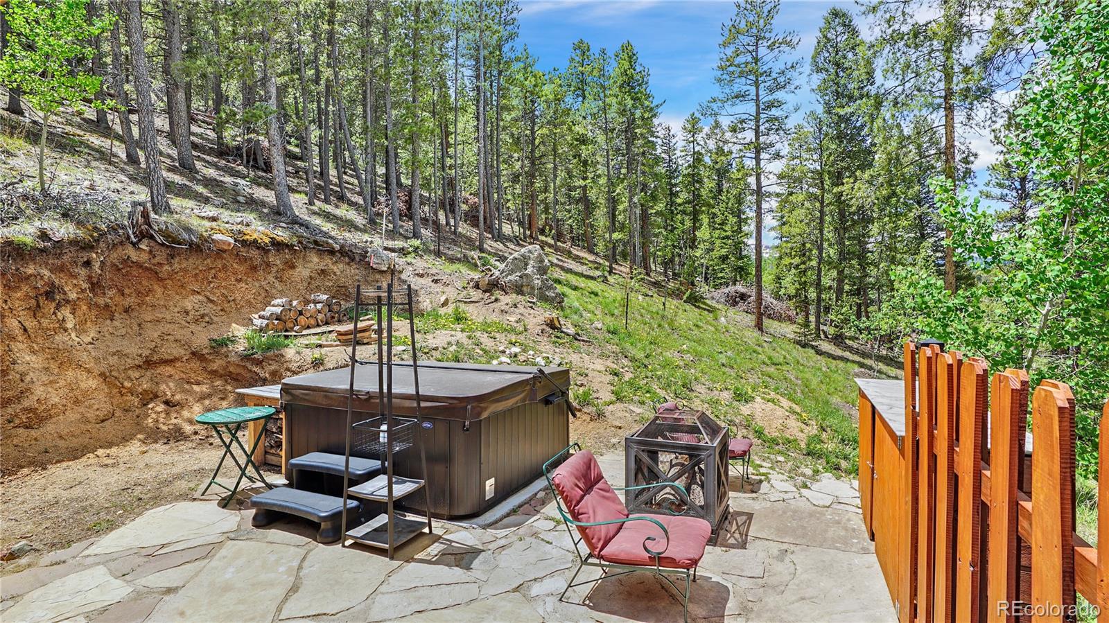 MLS Image #19 for 368  lakeview road,bailey, Colorado