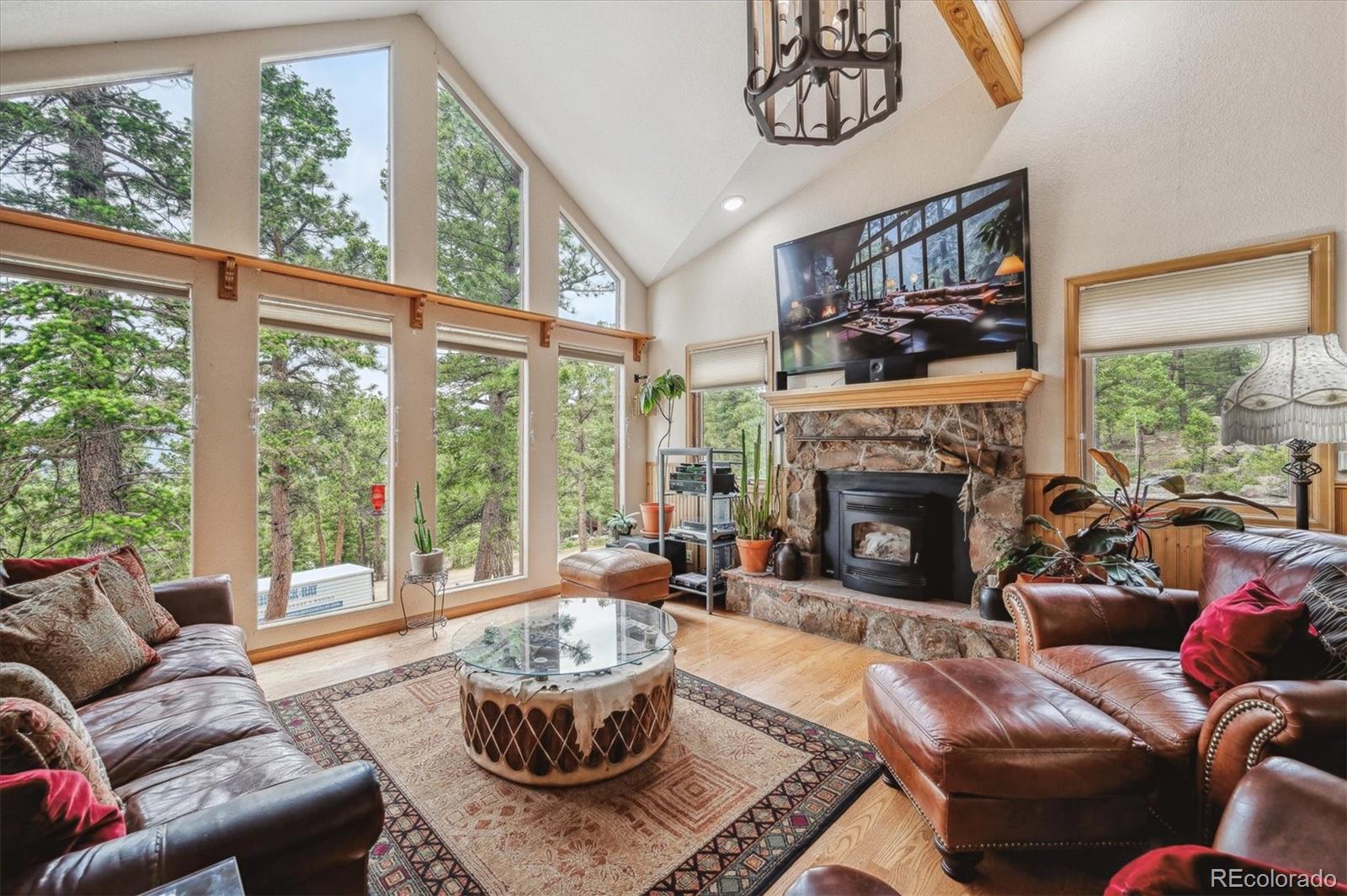 MLS Image #7 for 31037  witteman road,conifer, Colorado
