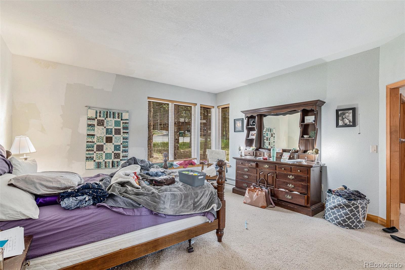 MLS Image #13 for 445  pembrook lane,woodland park, Colorado