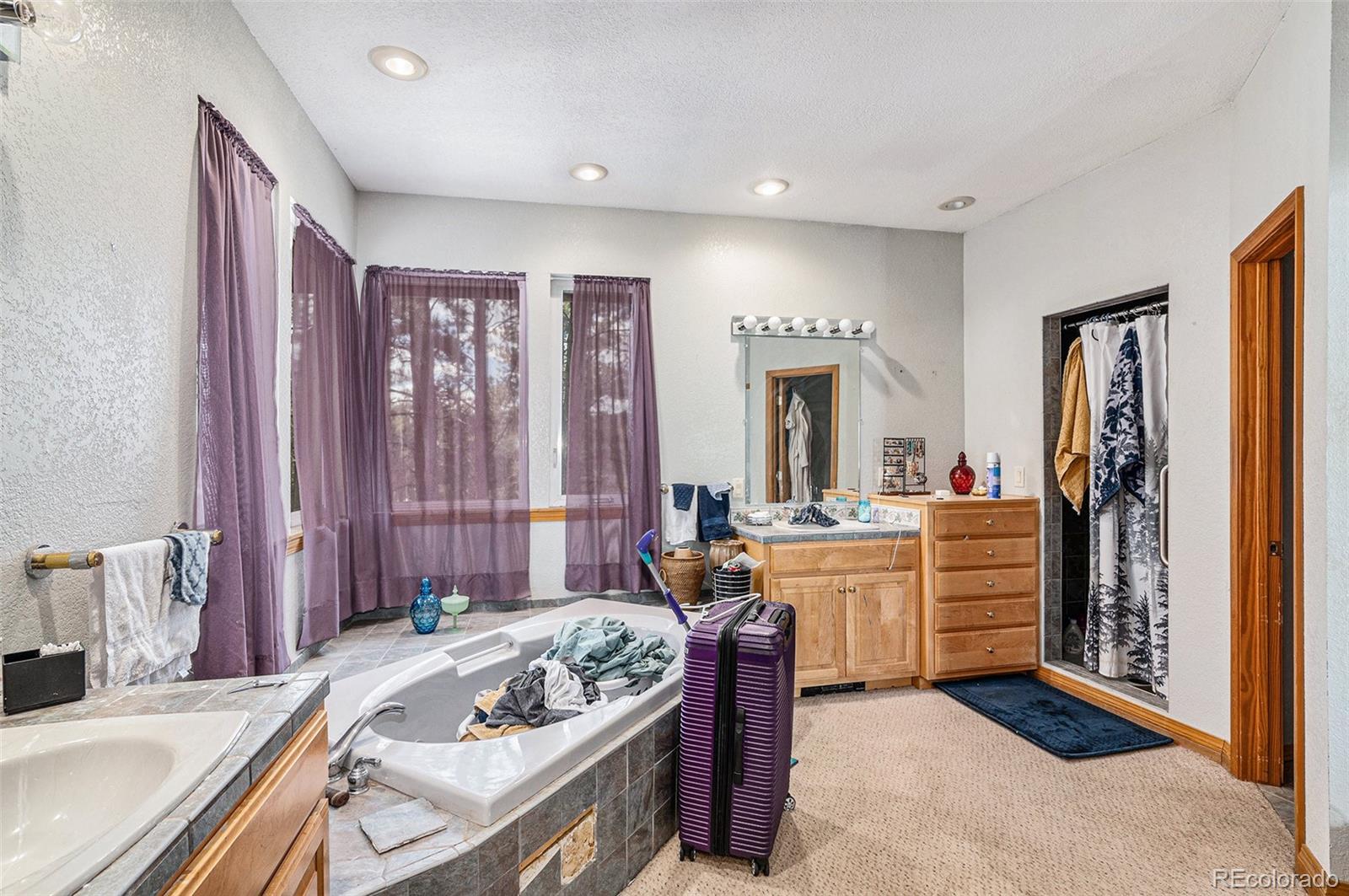 MLS Image #15 for 445  pembrook lane,woodland park, Colorado