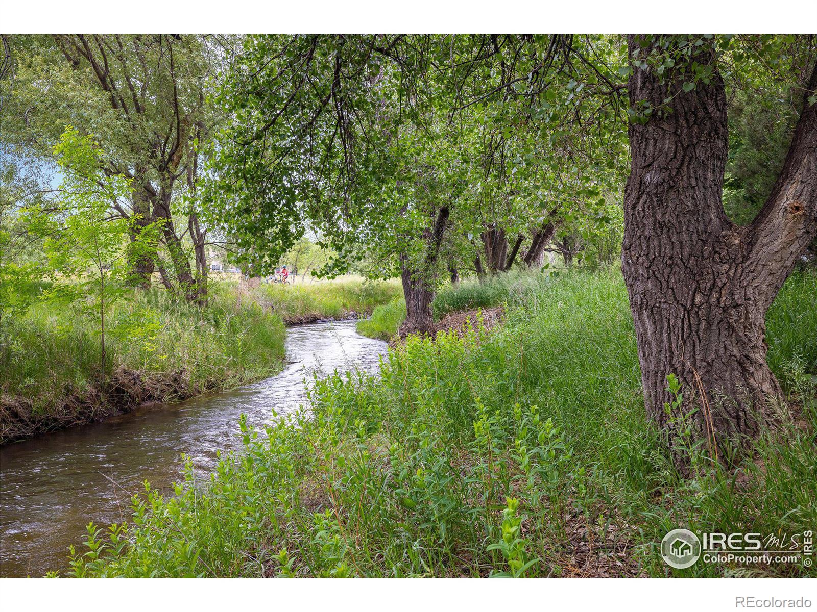 MLS Image #31 for 2105  springs place,longmont, Colorado