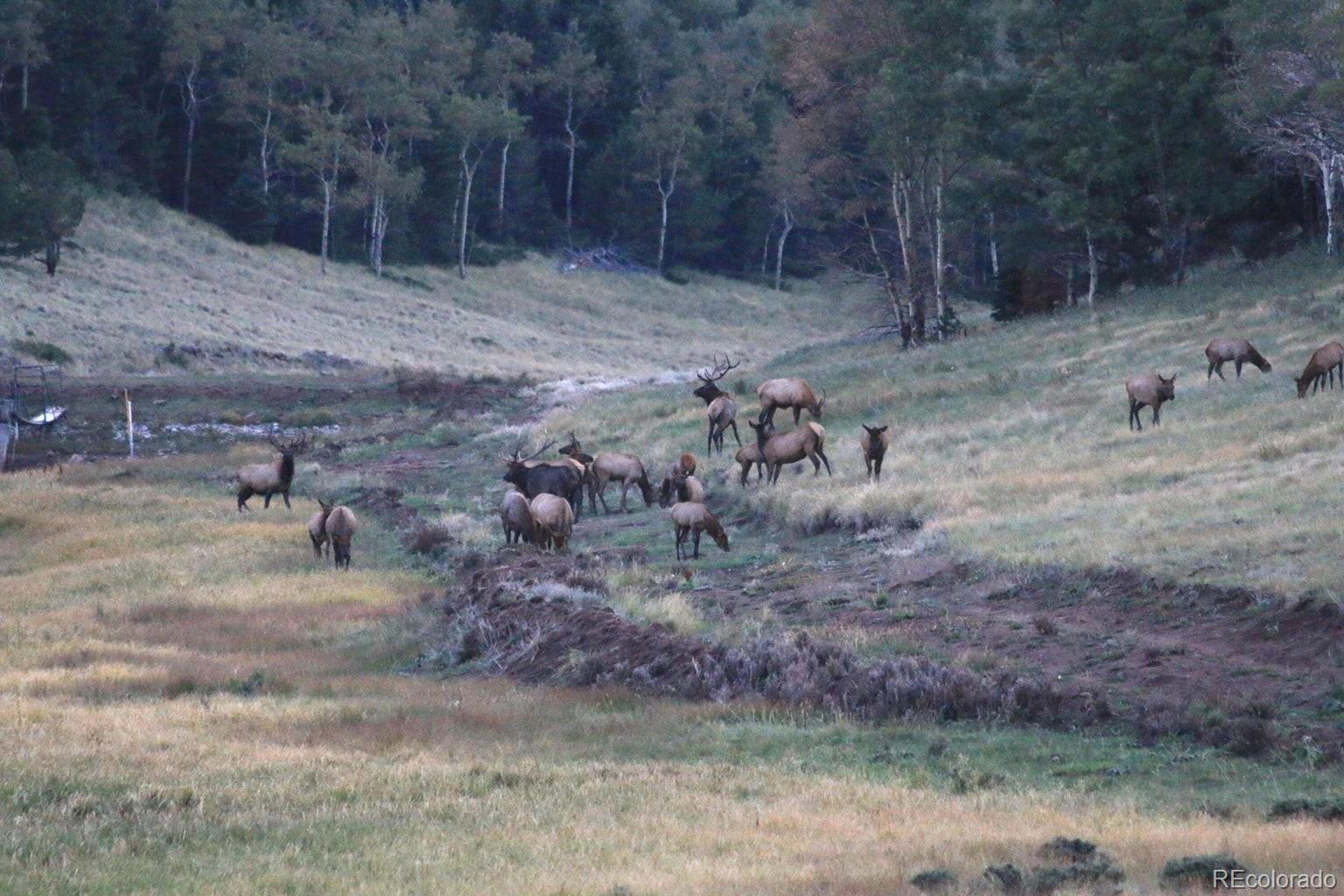 MLS Image #4 for 2280  wohlstetter loop,fort garland, Colorado