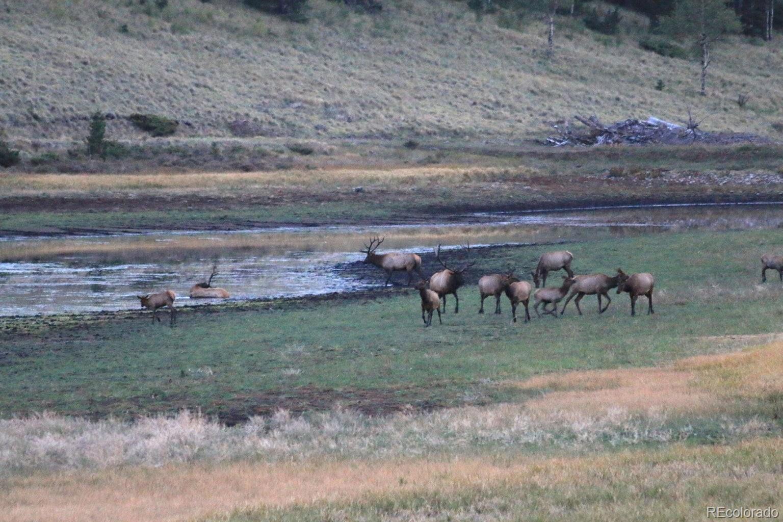 MLS Image #5 for 2280  wohlstetter loop,fort garland, Colorado