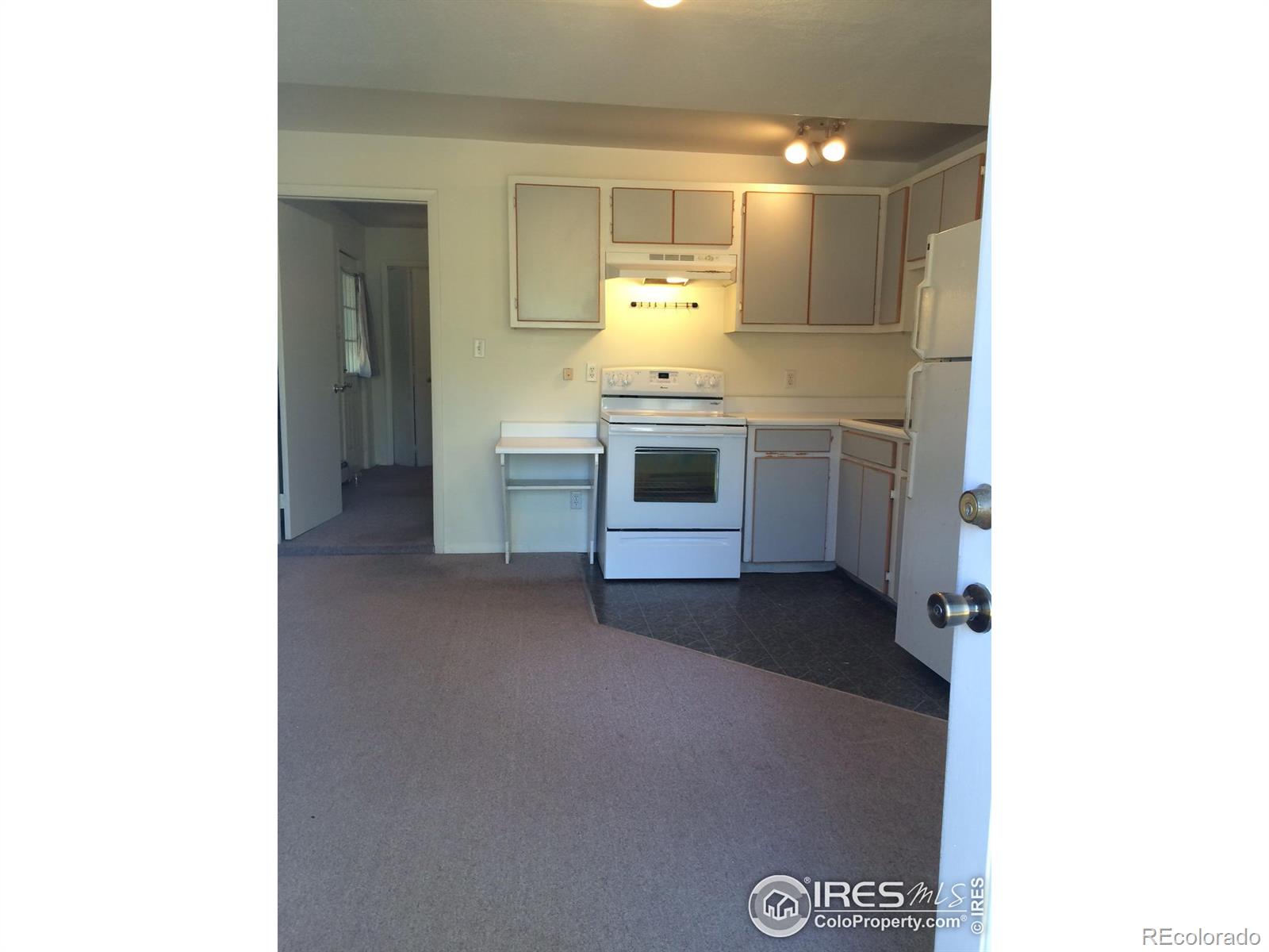 MLS Image #12 for 240 s jefferson street,nederland, Colorado