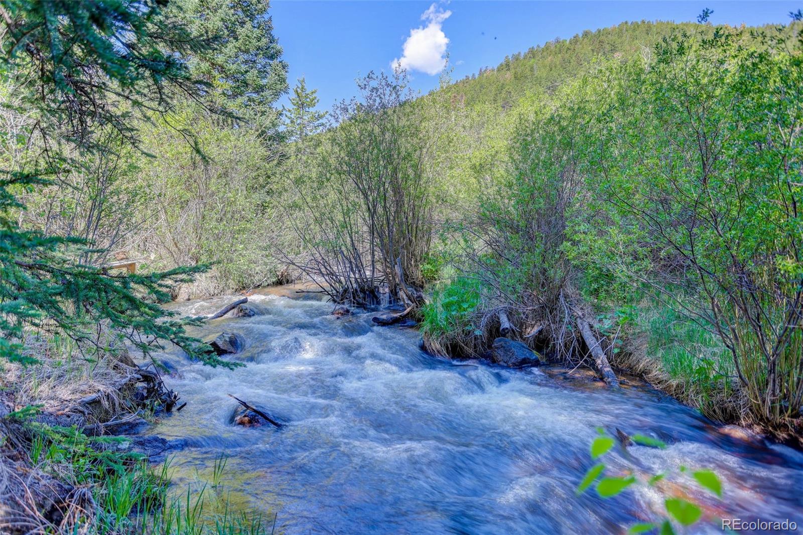 MLS Image #20 for 103  forest haven lane,idaho springs, Colorado