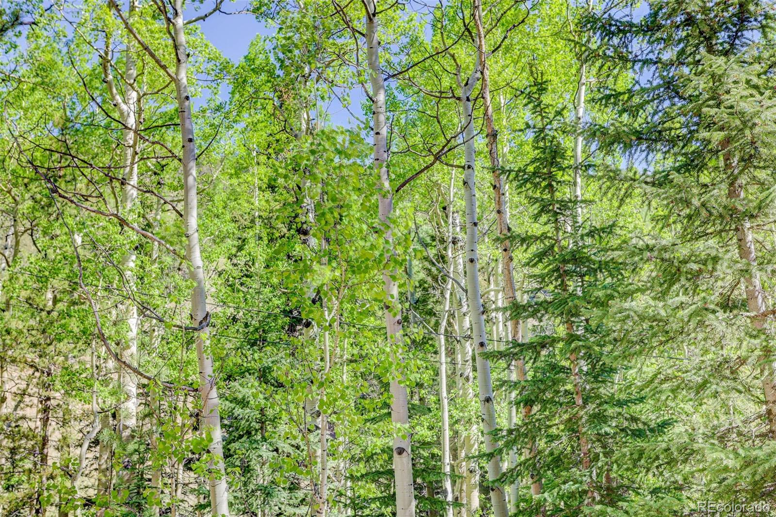 MLS Image #23 for 103  forest haven lane,idaho springs, Colorado