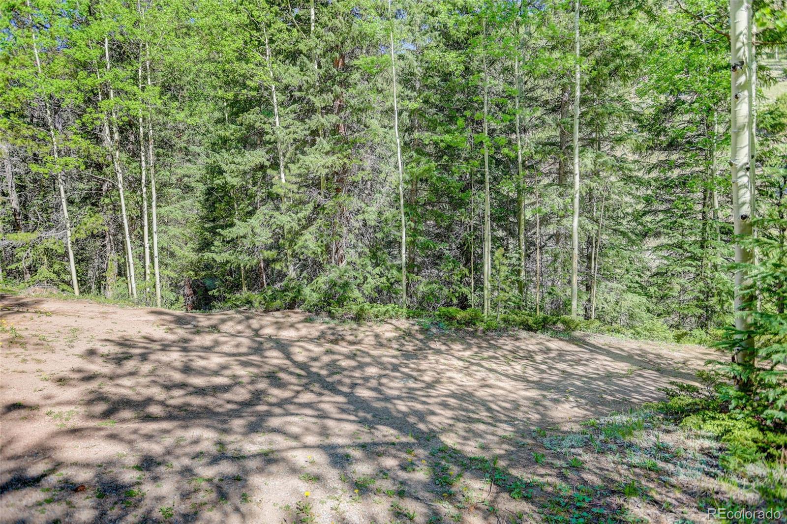 MLS Image #24 for 103  forest haven lane,idaho springs, Colorado