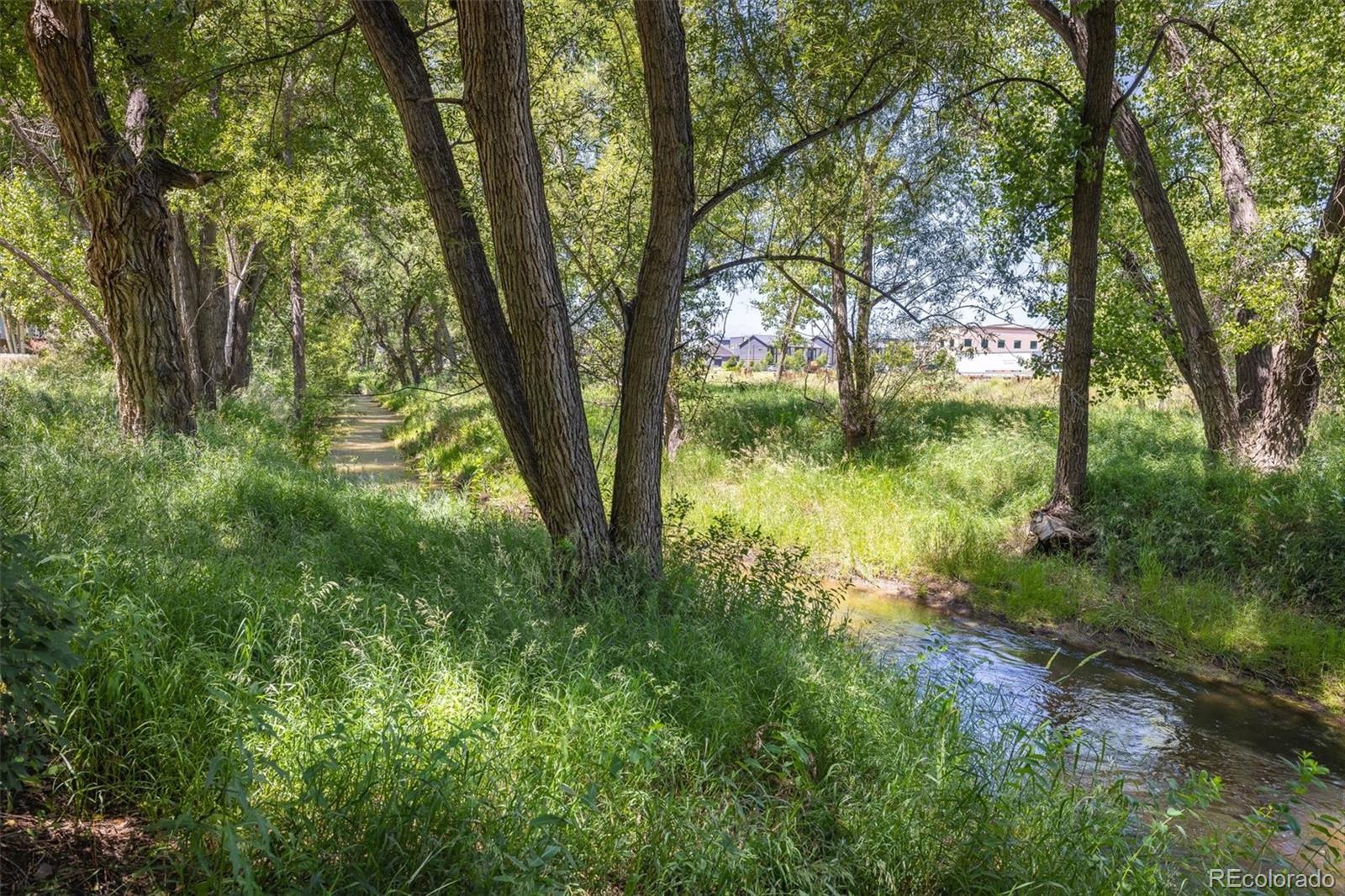 MLS Image #37 for 2105  springs place,longmont, Colorado