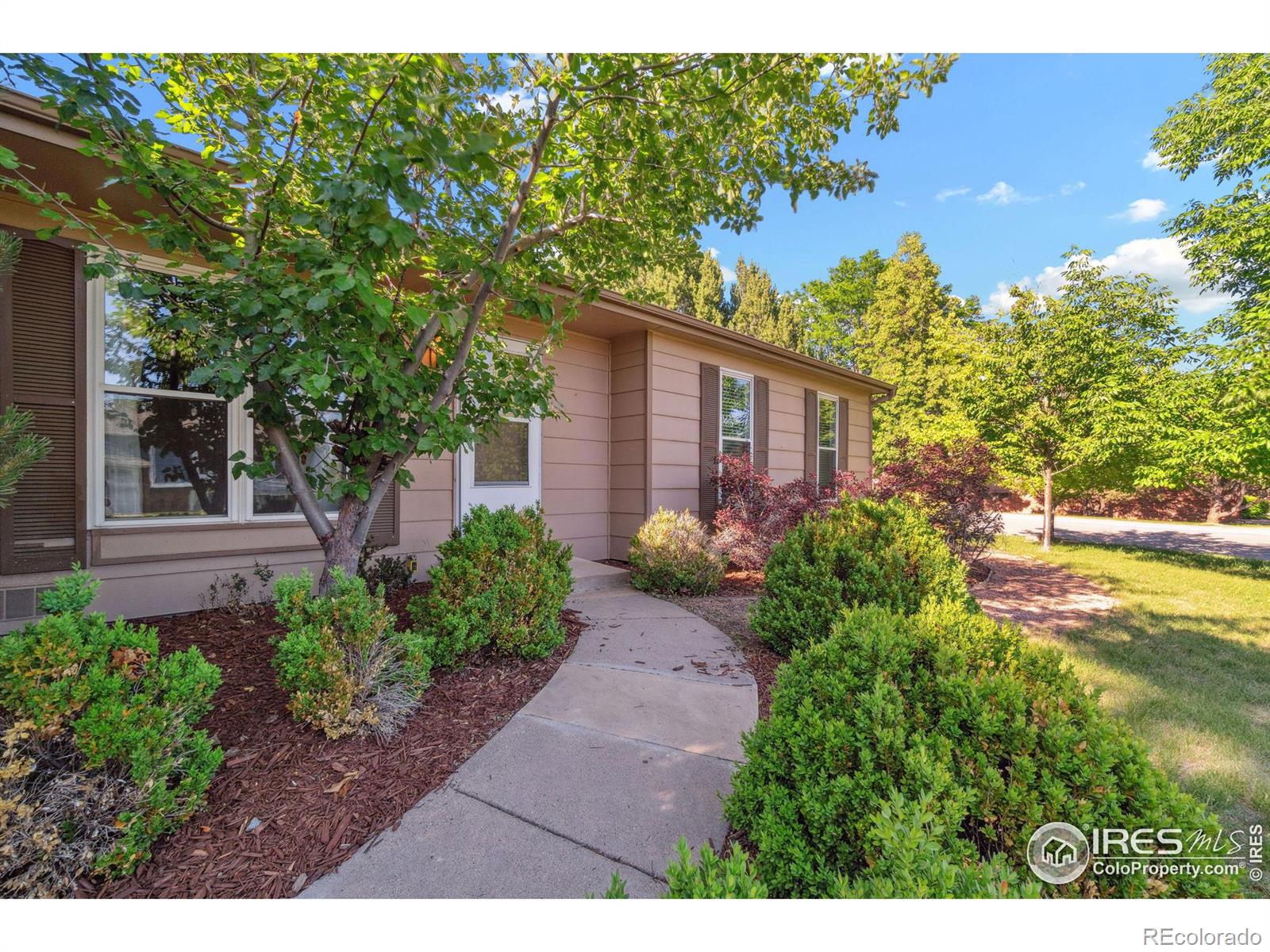 MLS Image #2 for 400  towhee street,fort collins, Colorado