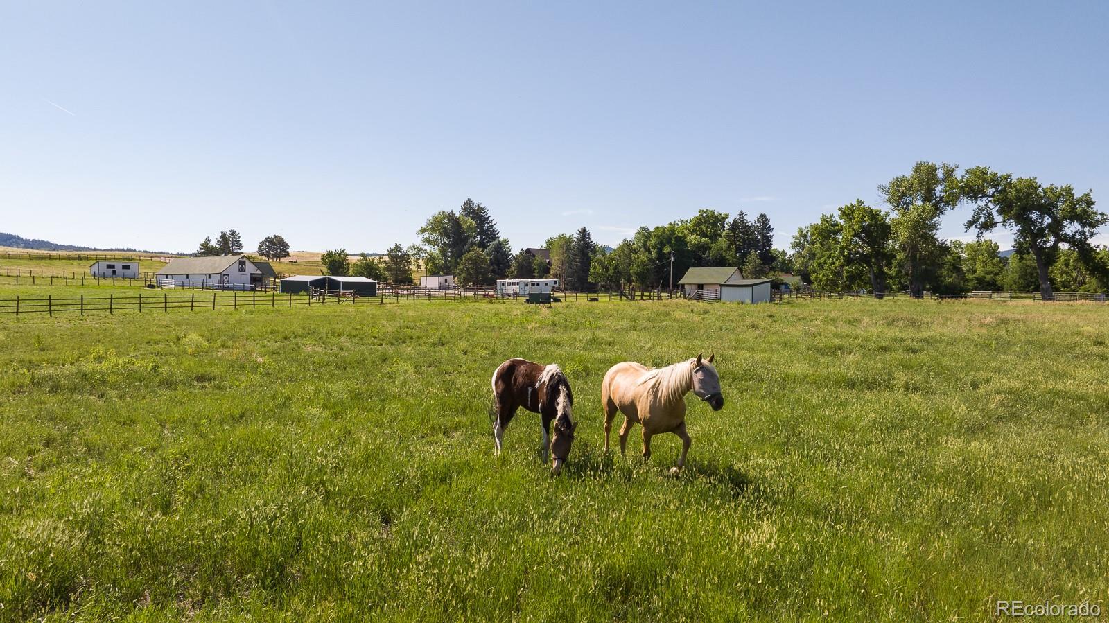 MLS Image #44 for 6145 s perry park road,sedalia, Colorado