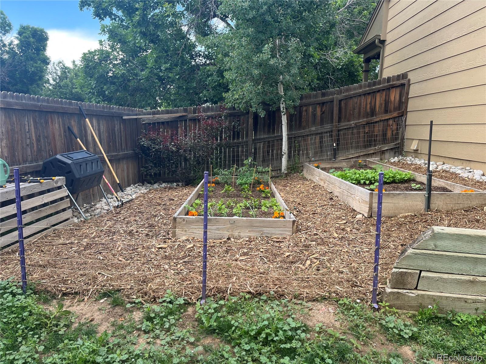 MLS Image #25 for 5310 e manchester drive,castle rock, Colorado