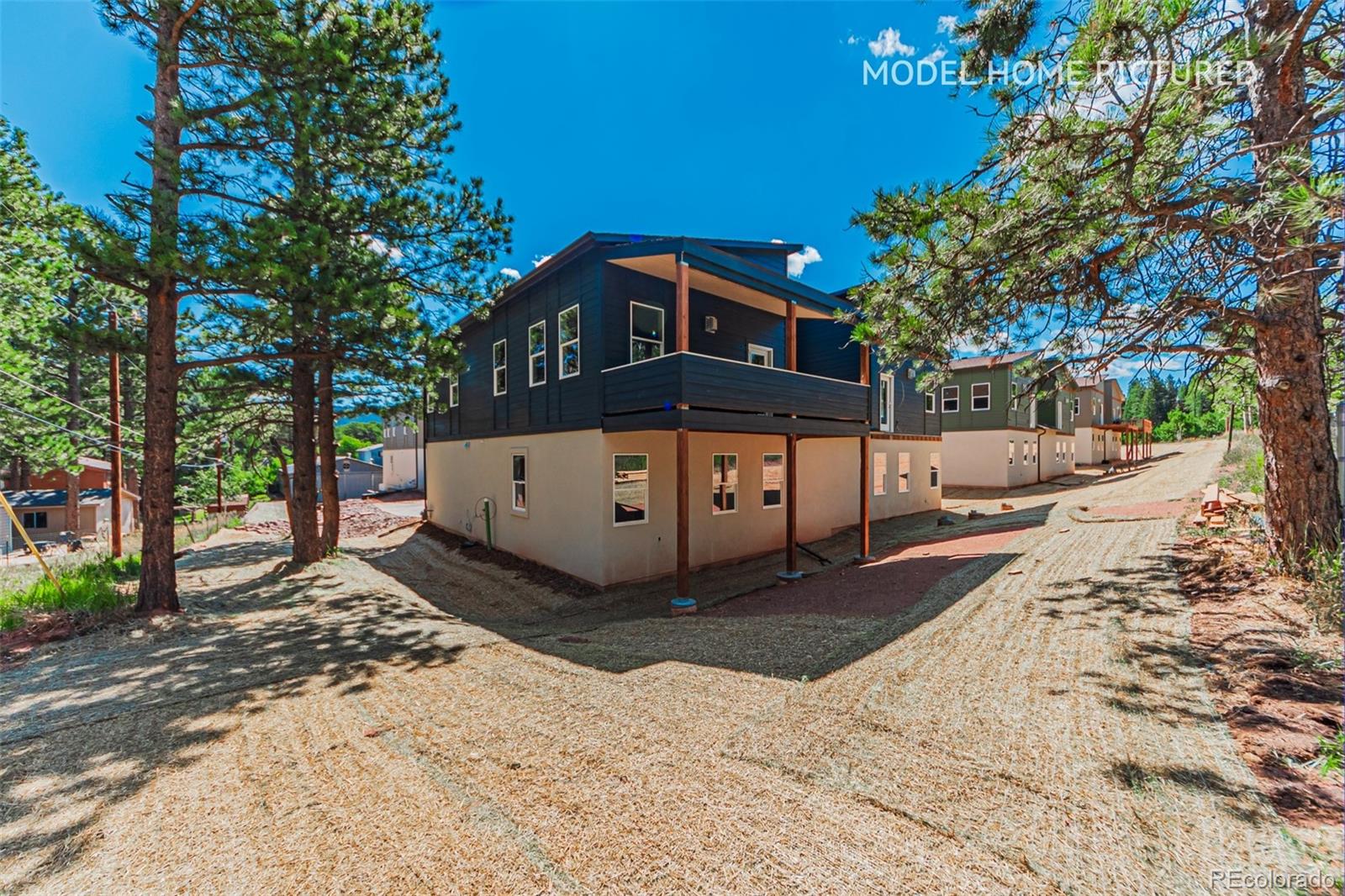 MLS Image #21 for 312  spruce meadow grove,woodland park, Colorado