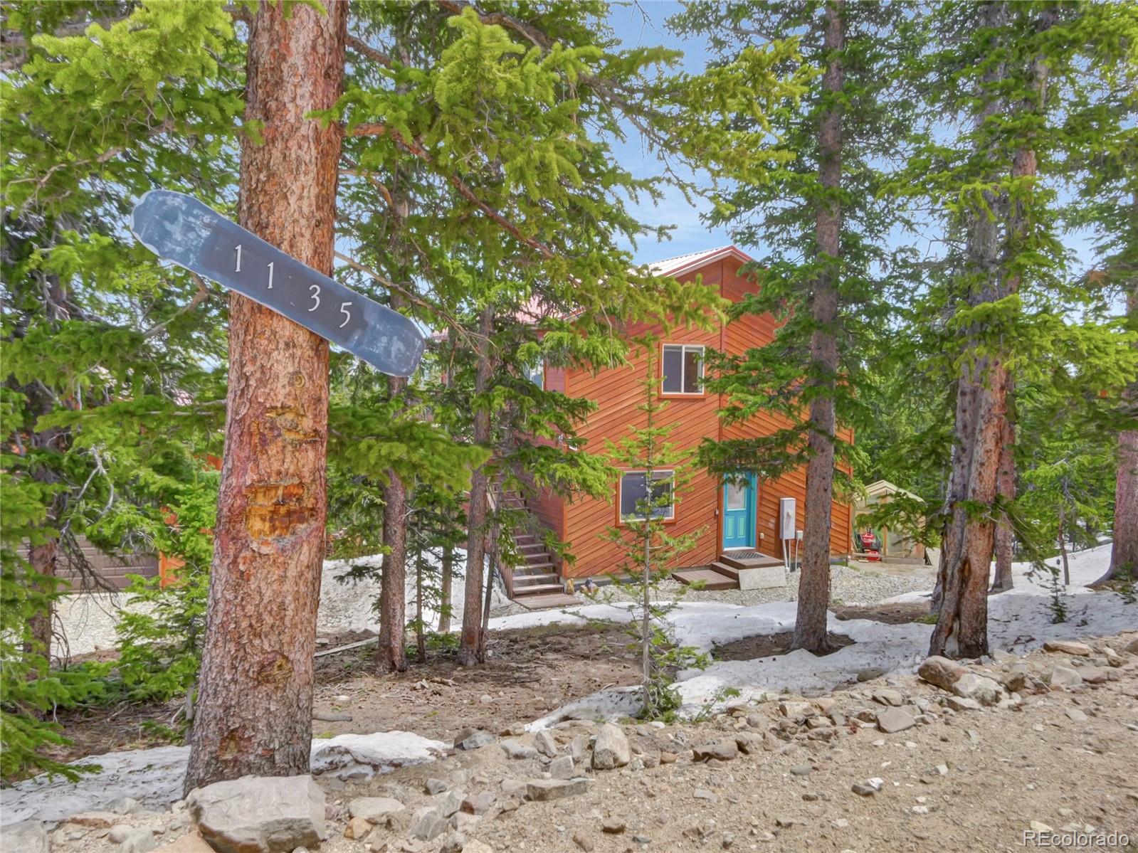 MLS Image #0 for 1135  prunes place,fairplay, Colorado