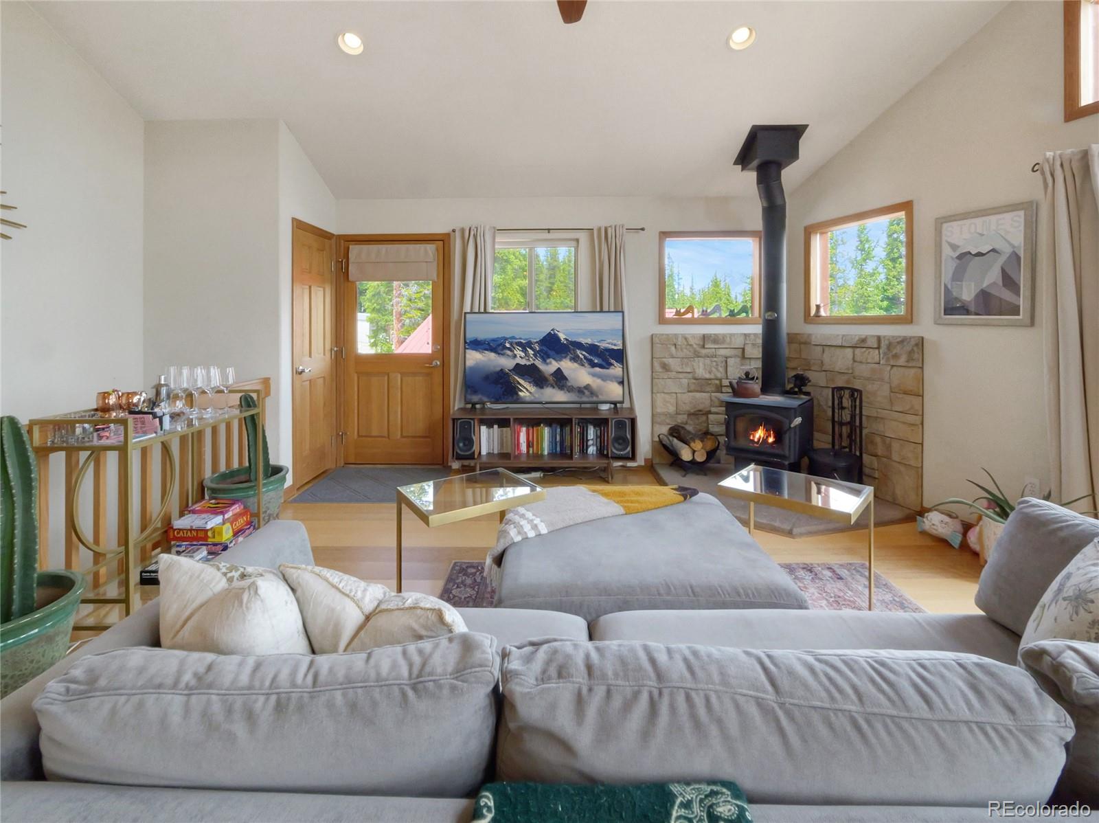 MLS Image #10 for 1135  prunes place,fairplay, Colorado