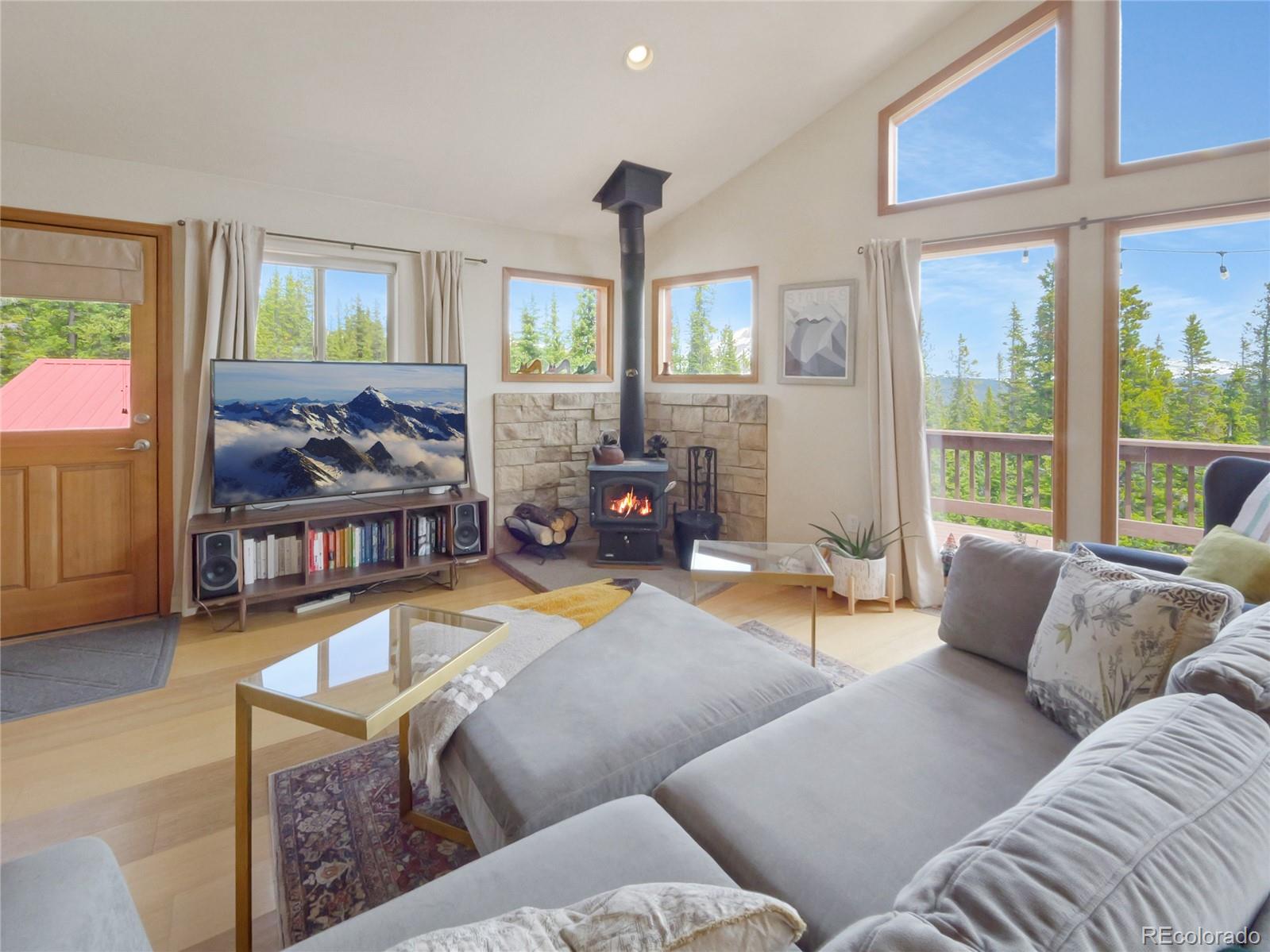MLS Image #11 for 1135  prunes place,fairplay, Colorado